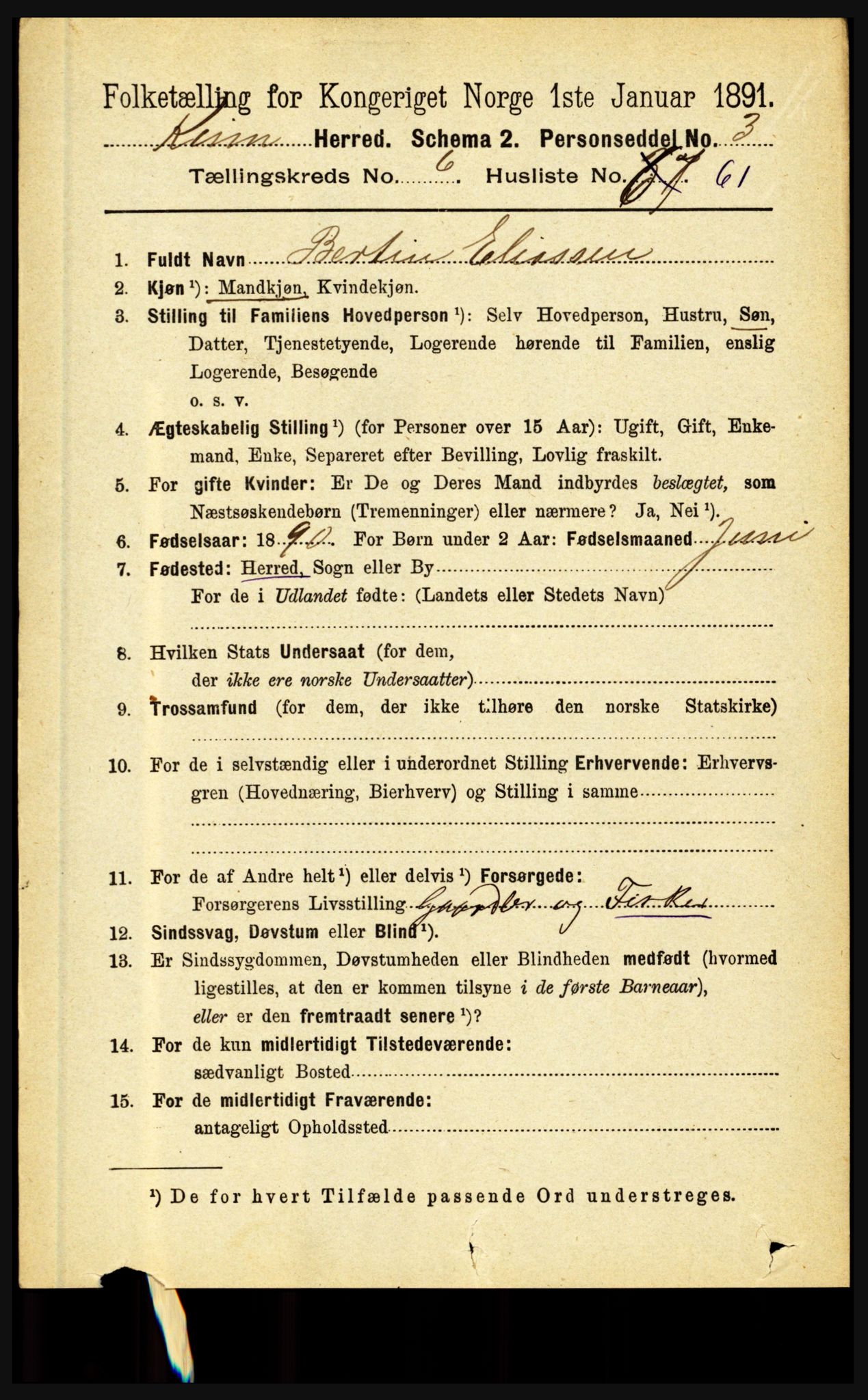 RA, 1891 census for 1437 Kinn, 1891, p. 2610