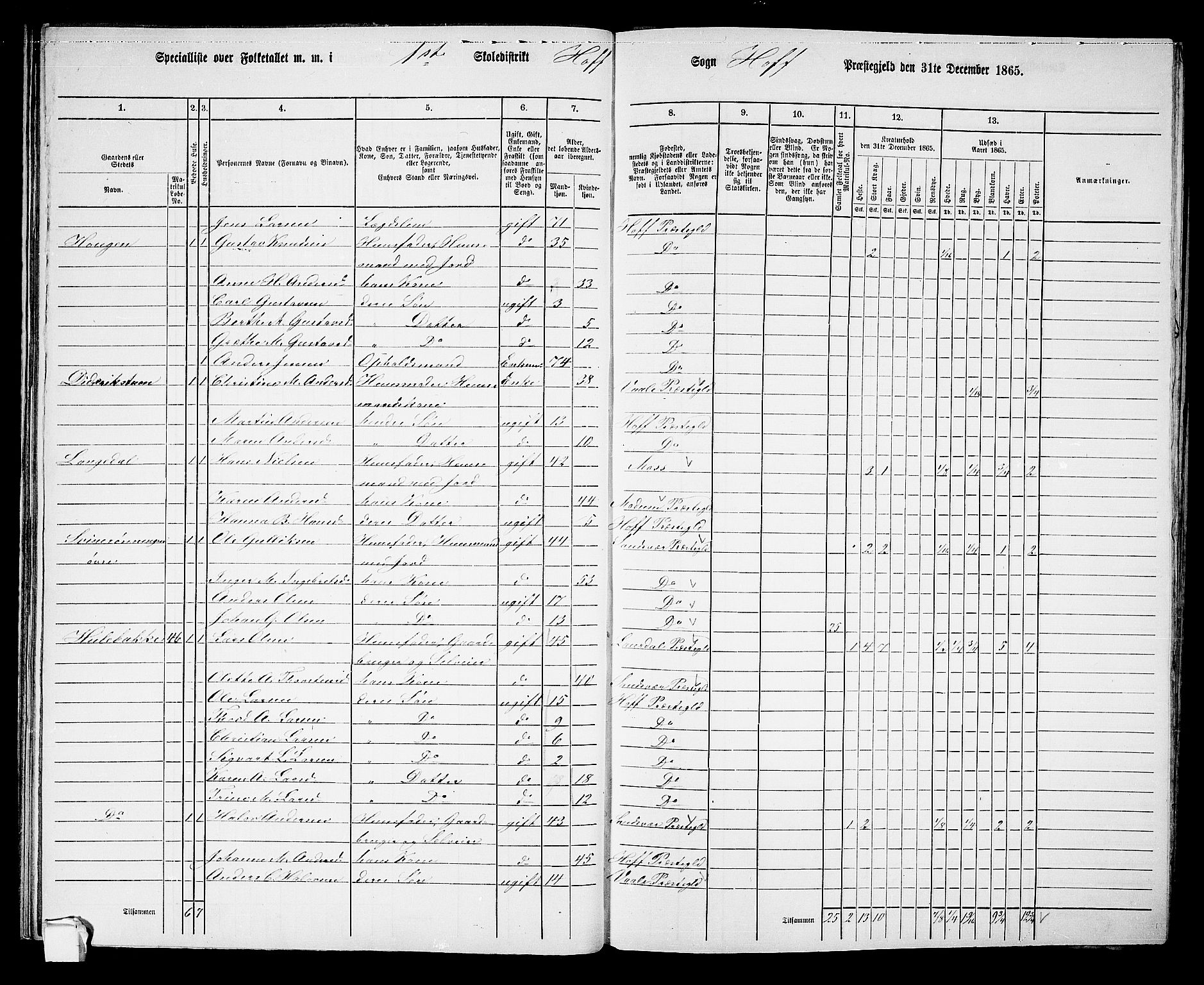 RA, 1865 census for Hof, 1865, p. 38