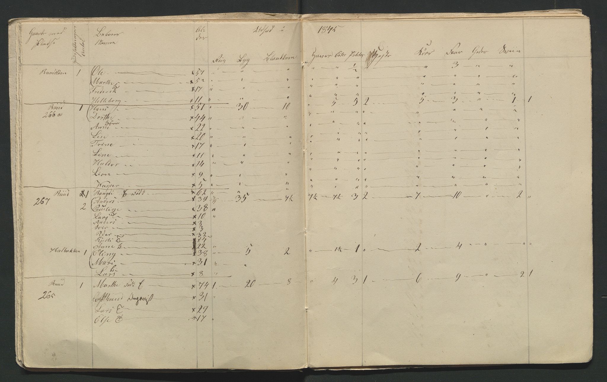 SAH, 1845 Census for Jevnaker parish, 1845, p. 54