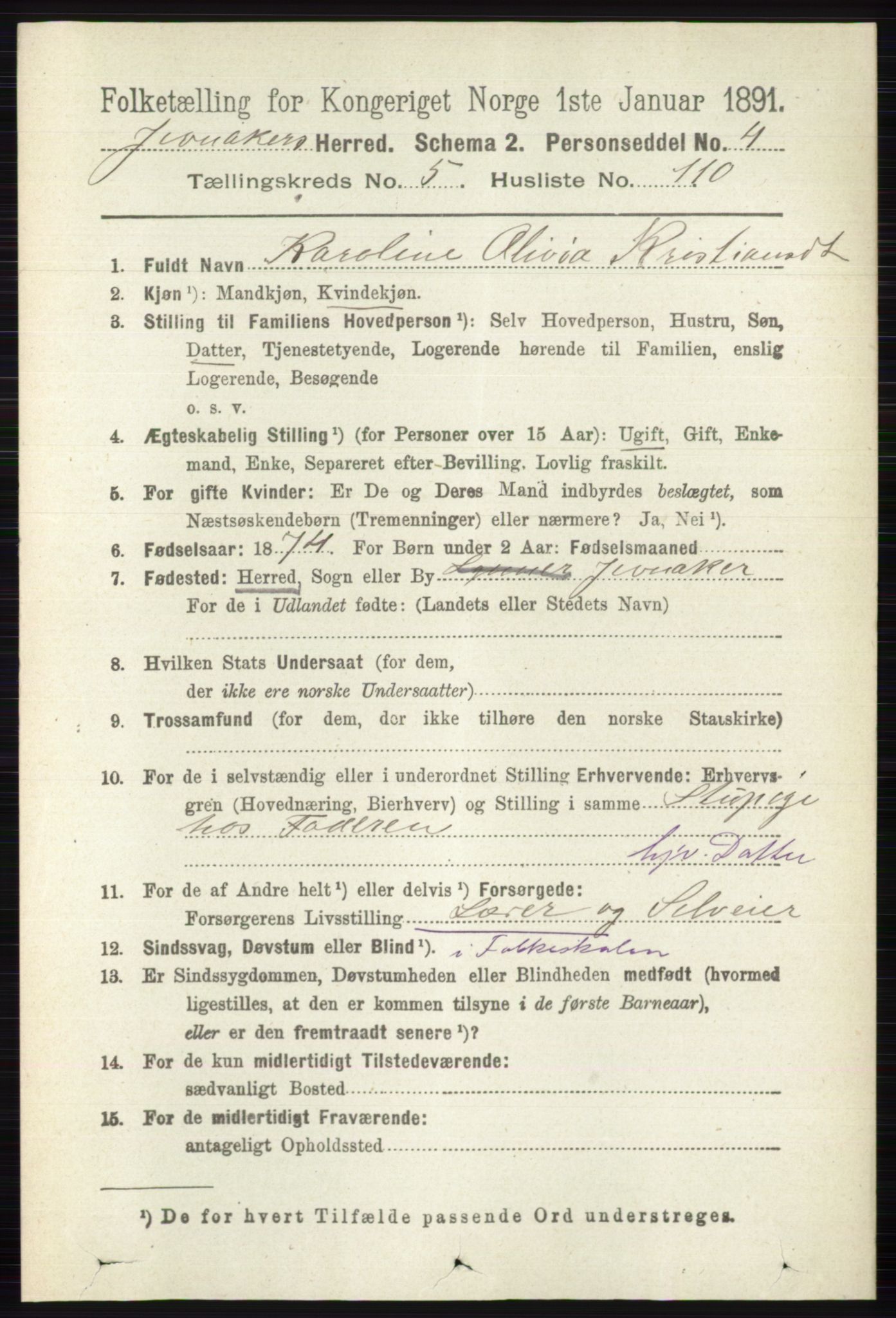 RA, 1891 census for 0532 Jevnaker, 1891, p. 3007