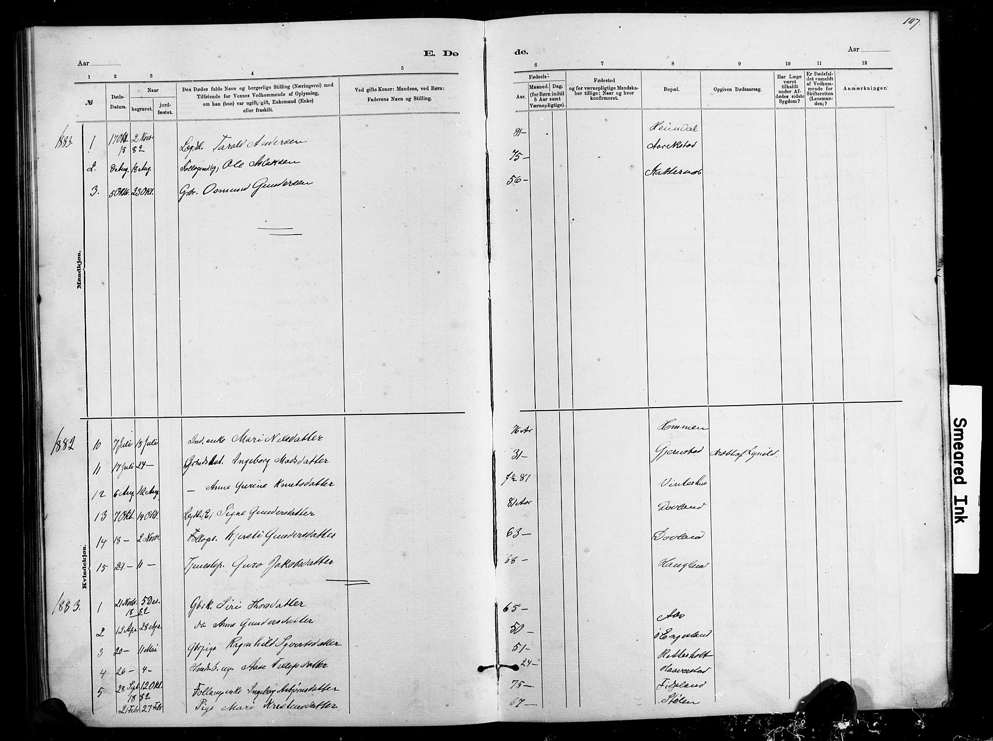 Herefoss sokneprestkontor, AV/SAK-1111-0019/F/Fb/Fbb/L0002: Parish register (copy) no. B 2, 1879-1894, p. 107