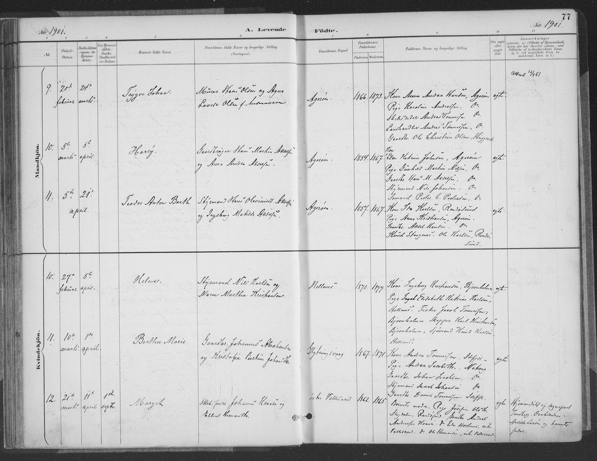 Høvåg sokneprestkontor, AV/SAK-1111-0025/F/Fa/L0006: Parish register (official) no. A 6, 1894-1923, p. 77