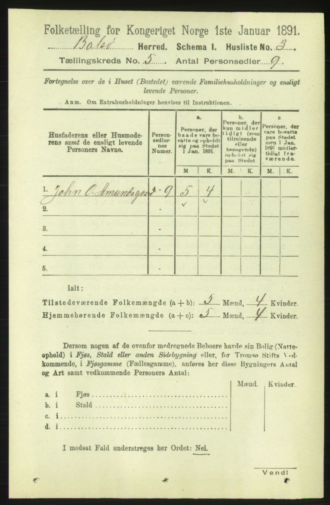 RA, 1891 census for 1544 Bolsøy, 1891, p. 3041