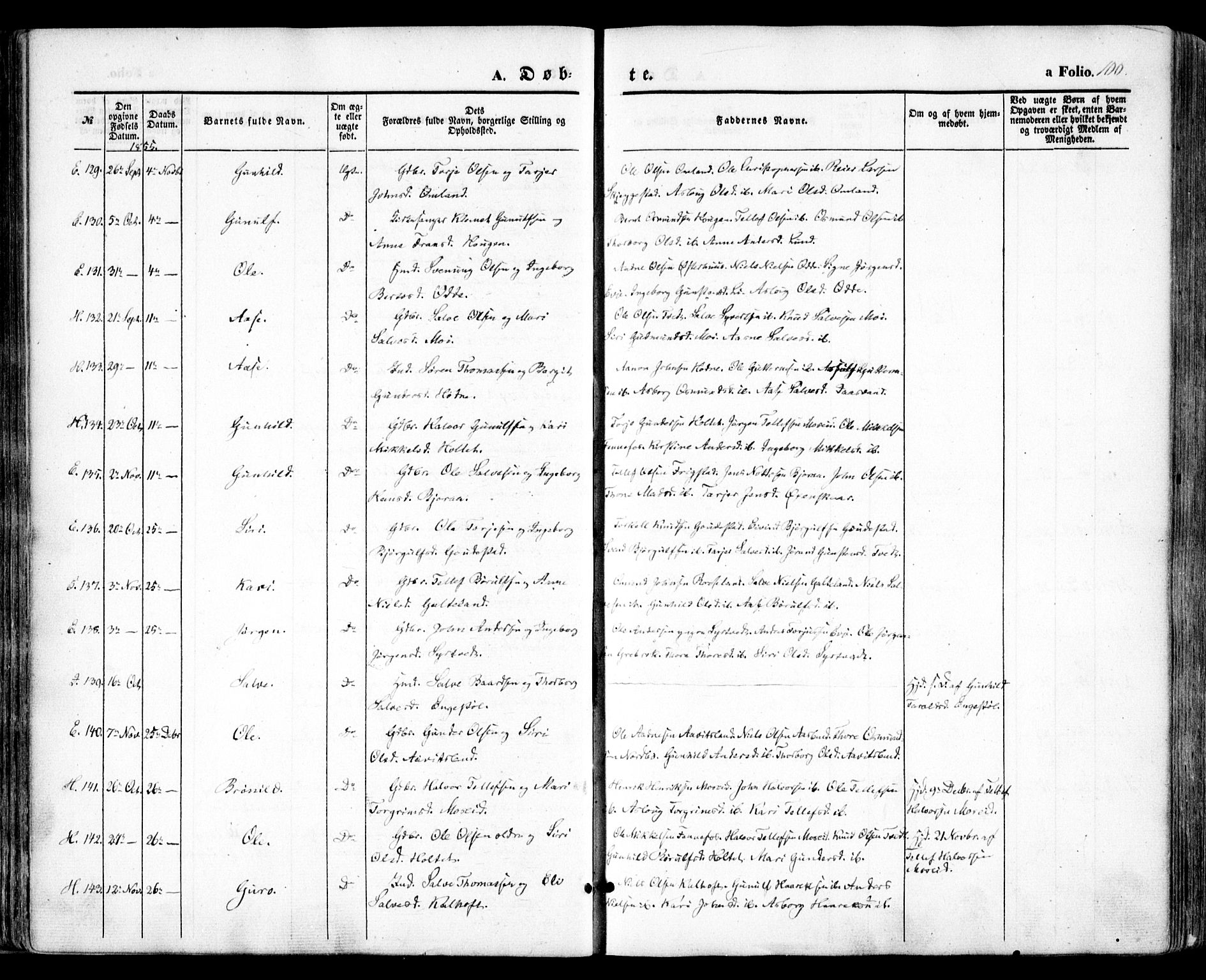 Evje sokneprestkontor, AV/SAK-1111-0008/F/Fa/Faa/L0005: Parish register (official) no. A 5, 1843-1865, p. 100