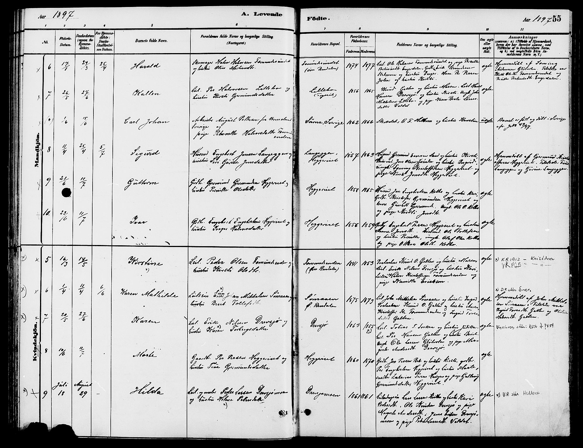 Engerdal prestekontor, AV/SAH-PREST-048/H/Ha/Haa/L0001: Parish register (official) no. 1, 1881-1898, p. 55