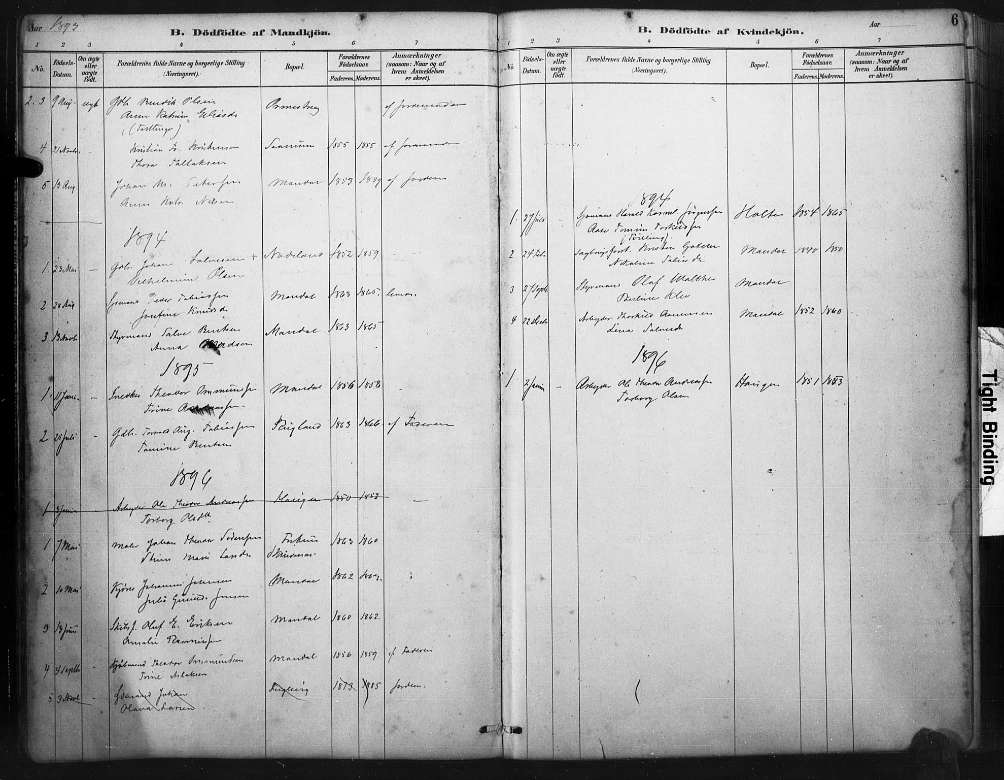 Mandal sokneprestkontor, SAK/1111-0030/F/Fa/Faa/L0017: Parish register (official) no. A 17, 1880-1926, p. 6