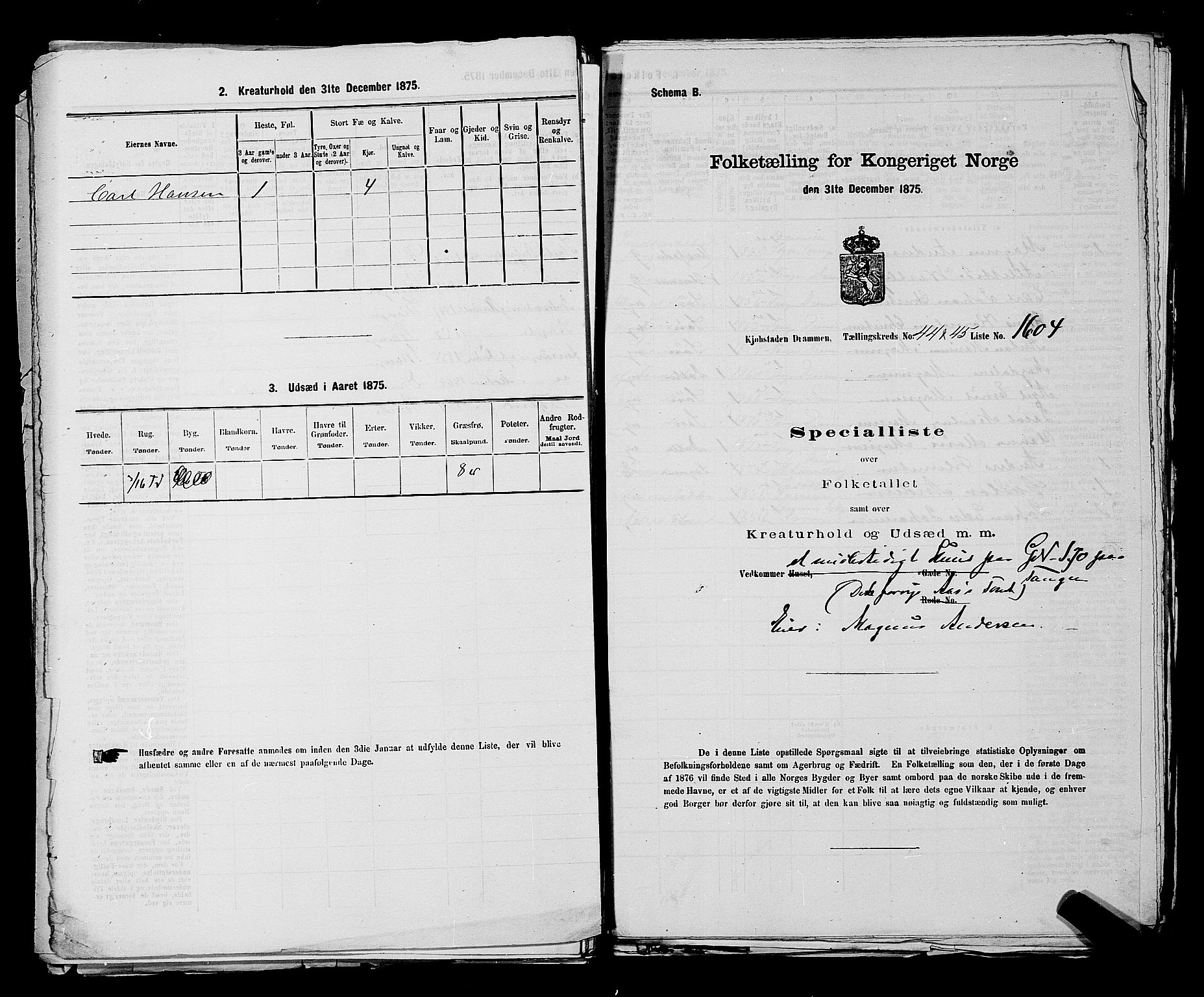 SAKO, 1875 census for 0602 Drammen, 1875, p. 3753
