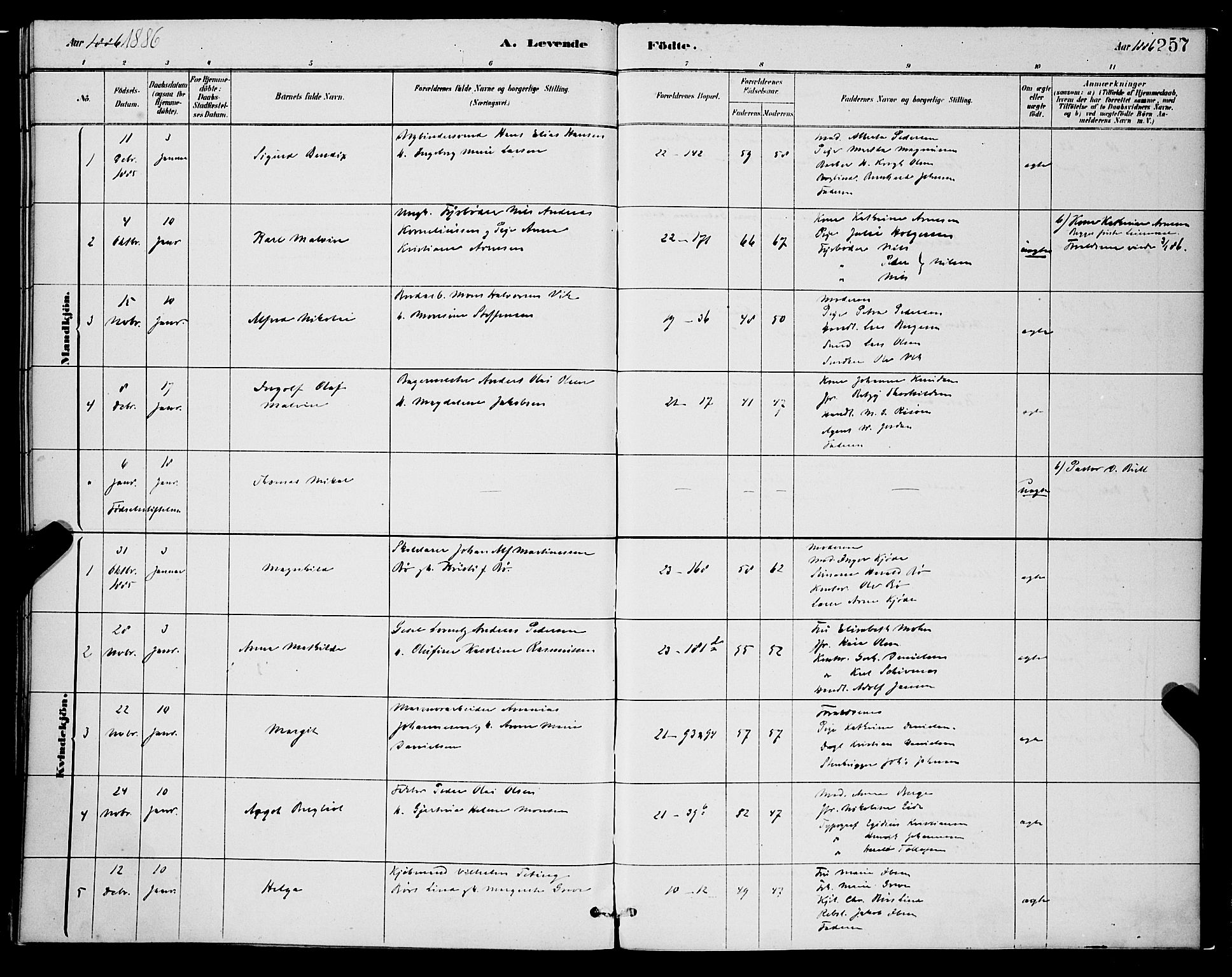 Korskirken sokneprestembete, SAB/A-76101/H/Hab: Parish register (copy) no. B 8, 1878-1887, p. 257