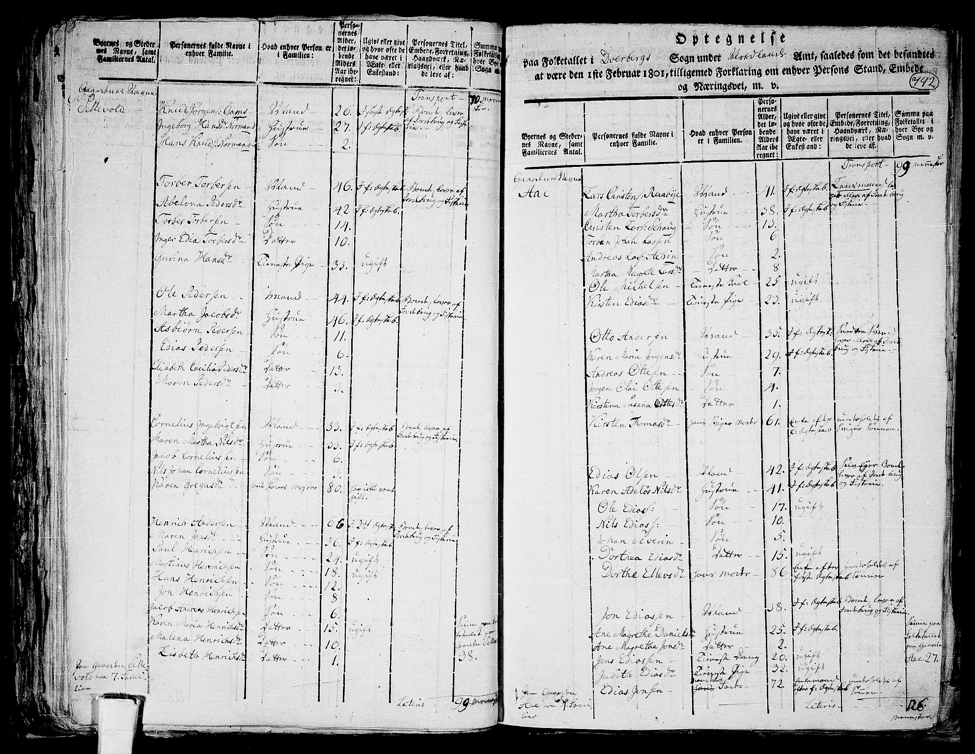 RA, 1801 census for 1872P Dverberg, 1801, p. 741b-742a