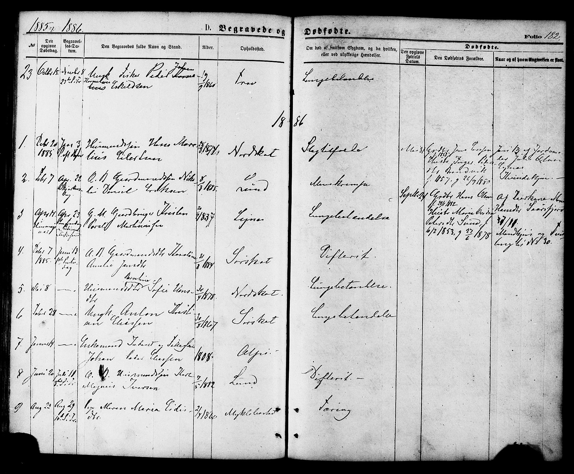 Ministerialprotokoller, klokkerbøker og fødselsregistre - Nordland, AV/SAT-A-1459/857/L0821: Parish register (official) no. 857A01, 1875-1889, p. 182