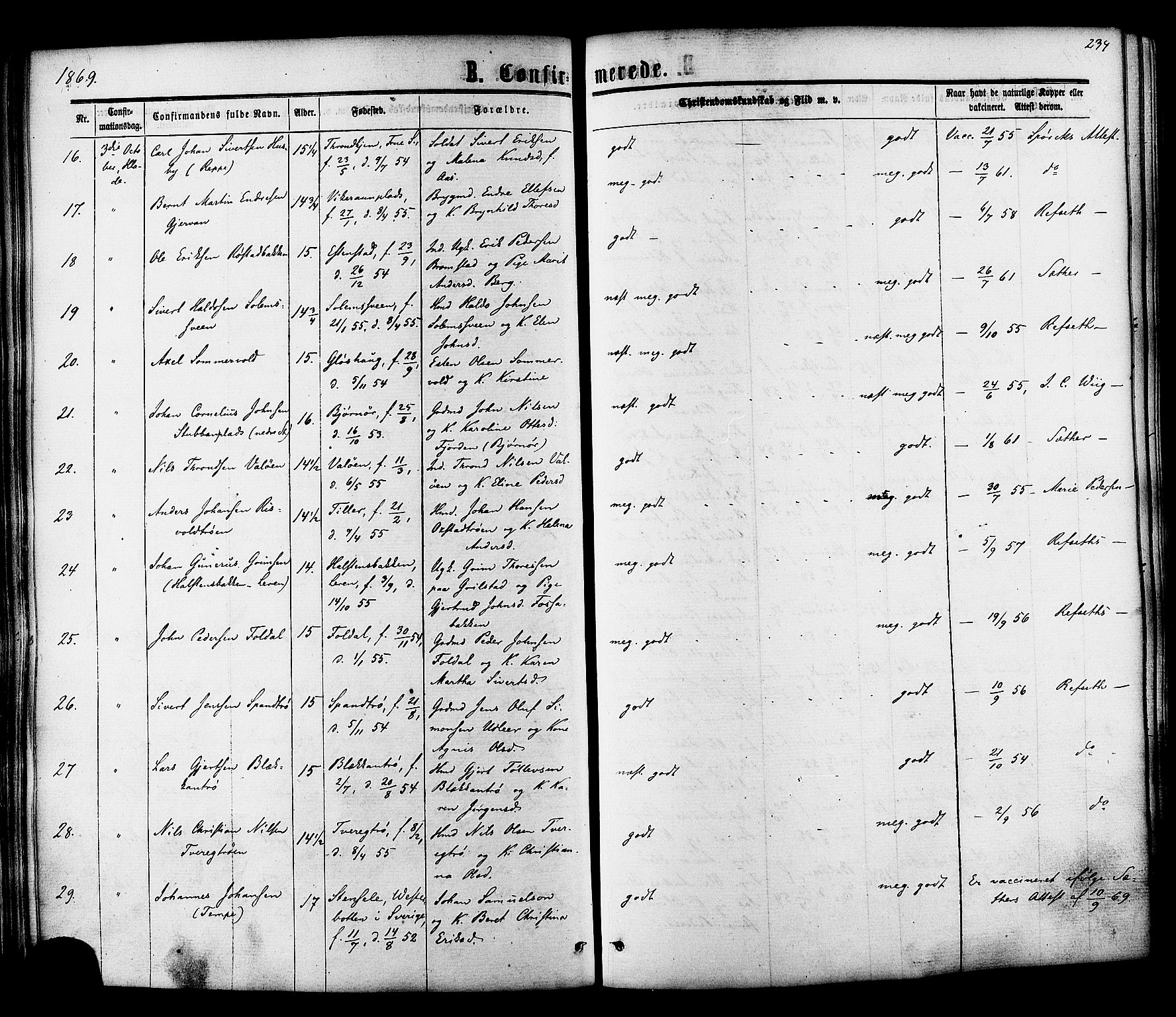 Ministerialprotokoller, klokkerbøker og fødselsregistre - Sør-Trøndelag, SAT/A-1456/606/L0293: Parish register (official) no. 606A08, 1866-1877, p. 234