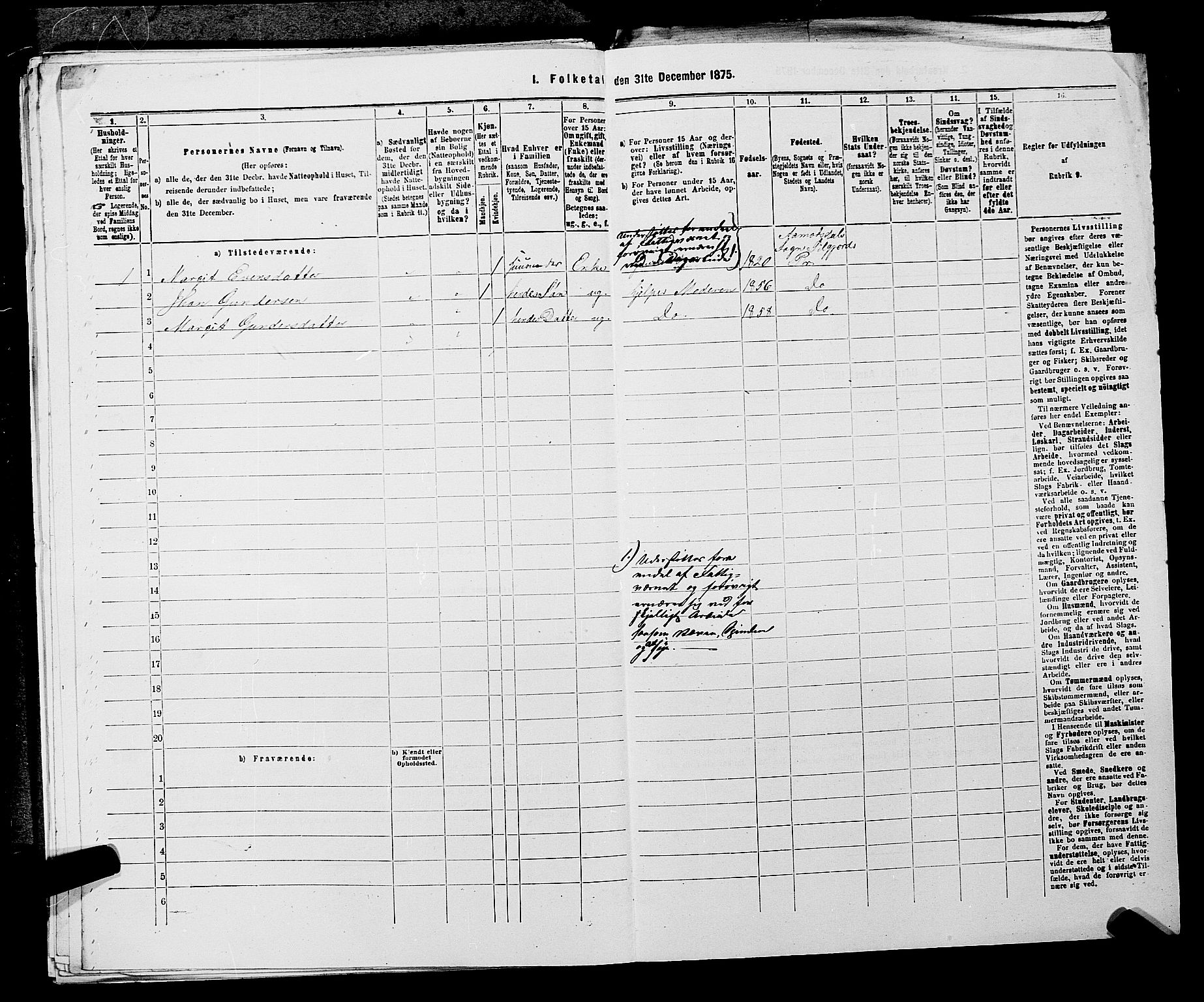 SAKO, 1875 census for 0828P Seljord, 1875, p. 1247