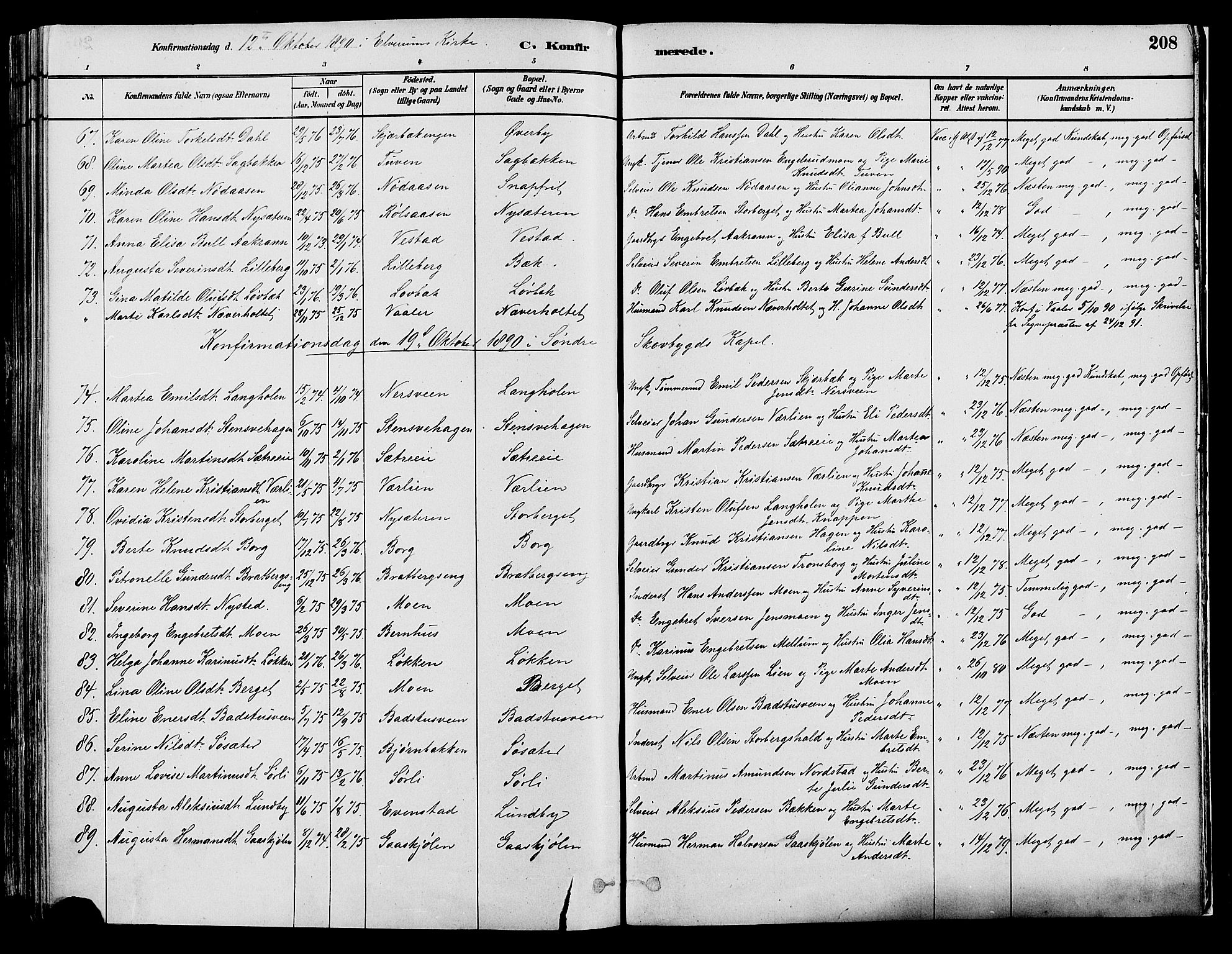 Elverum prestekontor, AV/SAH-PREST-044/H/Ha/Haa/L0013: Parish register (official) no. 13, 1880-1890, p. 208