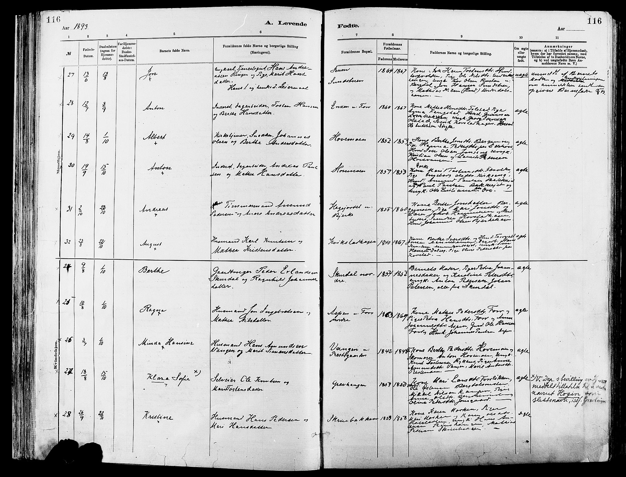 Sør-Fron prestekontor, AV/SAH-PREST-010/H/Ha/Haa/L0003: Parish register (official) no. 3, 1881-1897, p. 116