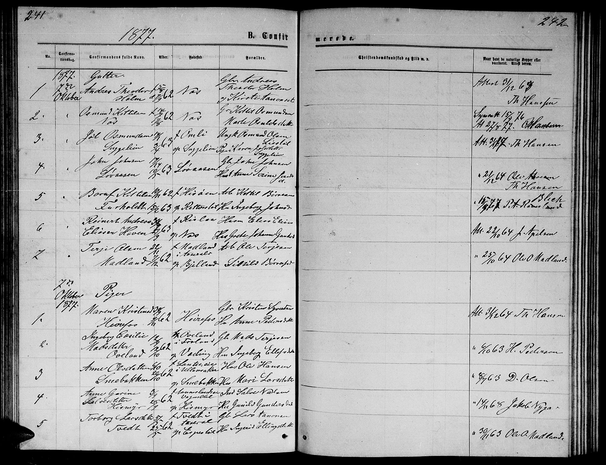 Herefoss sokneprestkontor, SAK/1111-0019/F/Fb/Fba/L0002: Parish register (copy) no. B 2, 1868-1886, p. 241-242