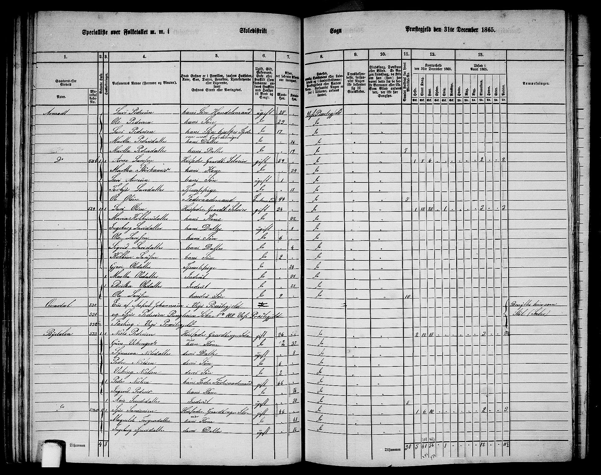 RA, 1865 census for Voss, 1865, p. 290