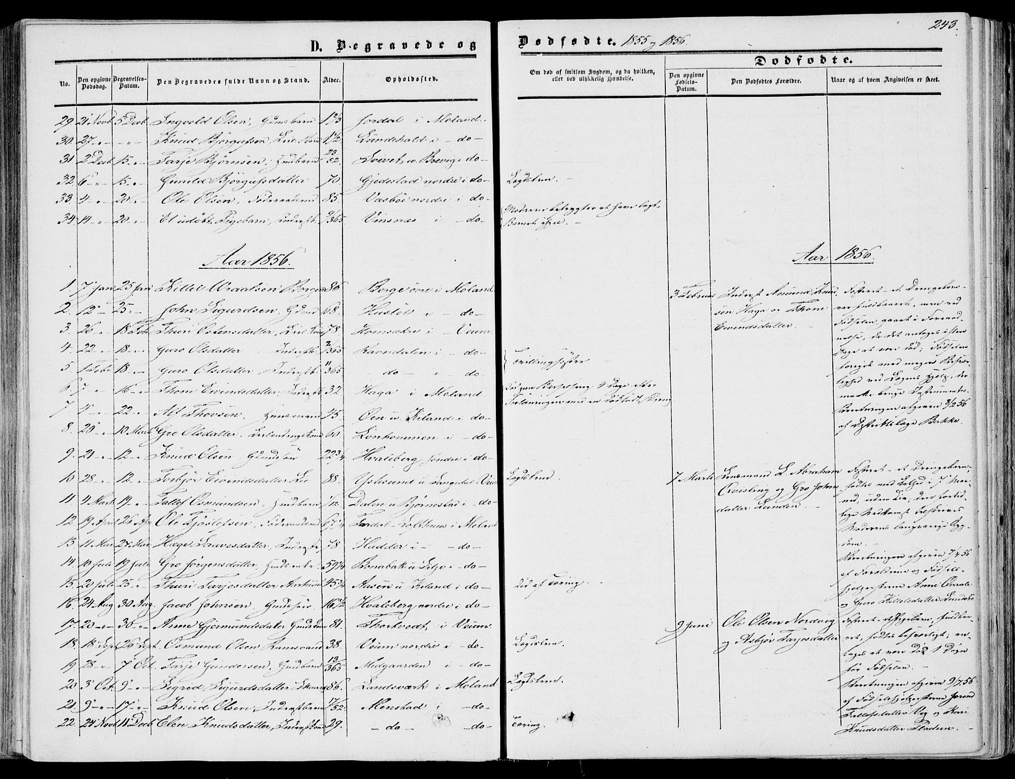 Fyresdal kirkebøker, SAKO/A-263/F/Fa/L0005: Parish register (official) no. I 5, 1855-1871, p. 243