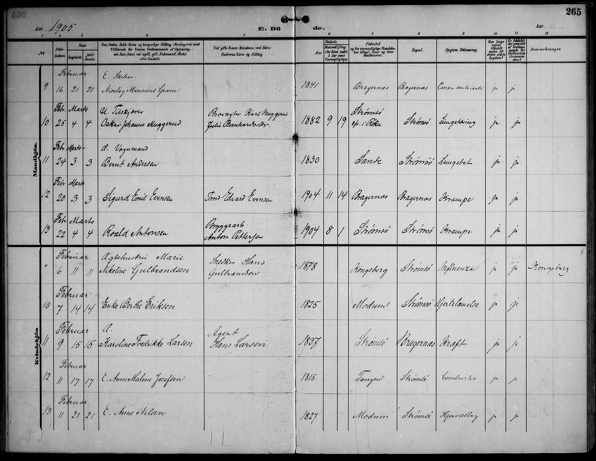 Strømsø kirkebøker, AV/SAKO-A-246/F/Fa/L0026: Parish register (official) no. I 26, 1905-1914, p. 265