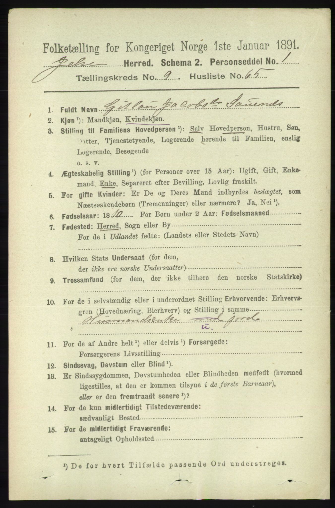 RA, 1891 census for 1138 Jelsa, 1891, p. 2369