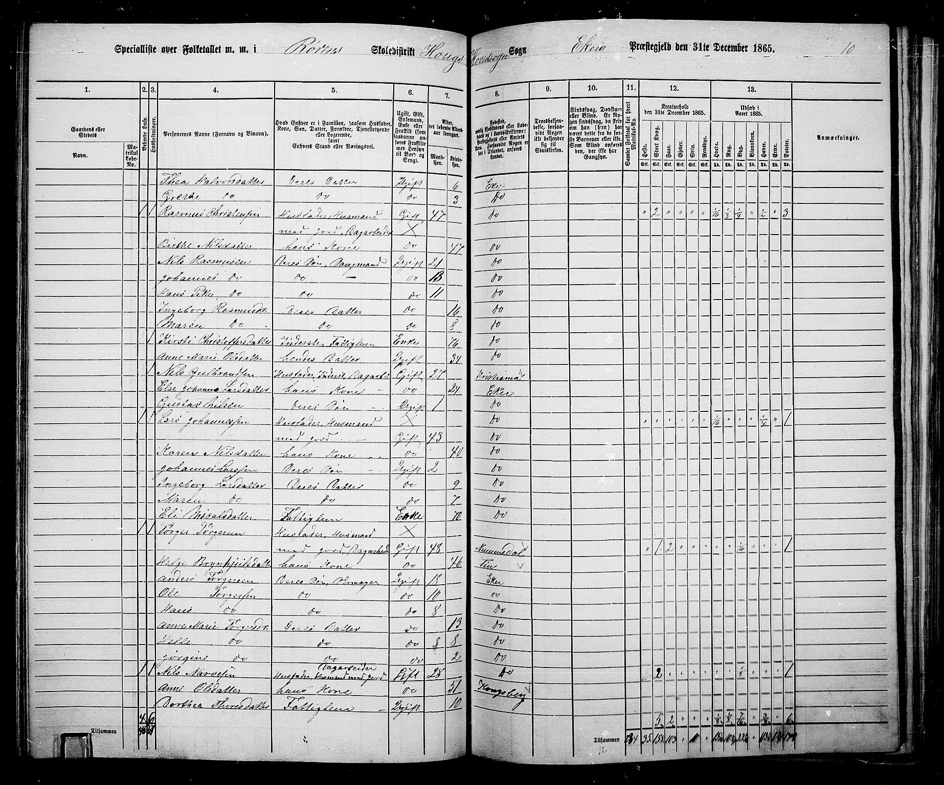 RA, 1865 census for Eiker, 1865, p. 114