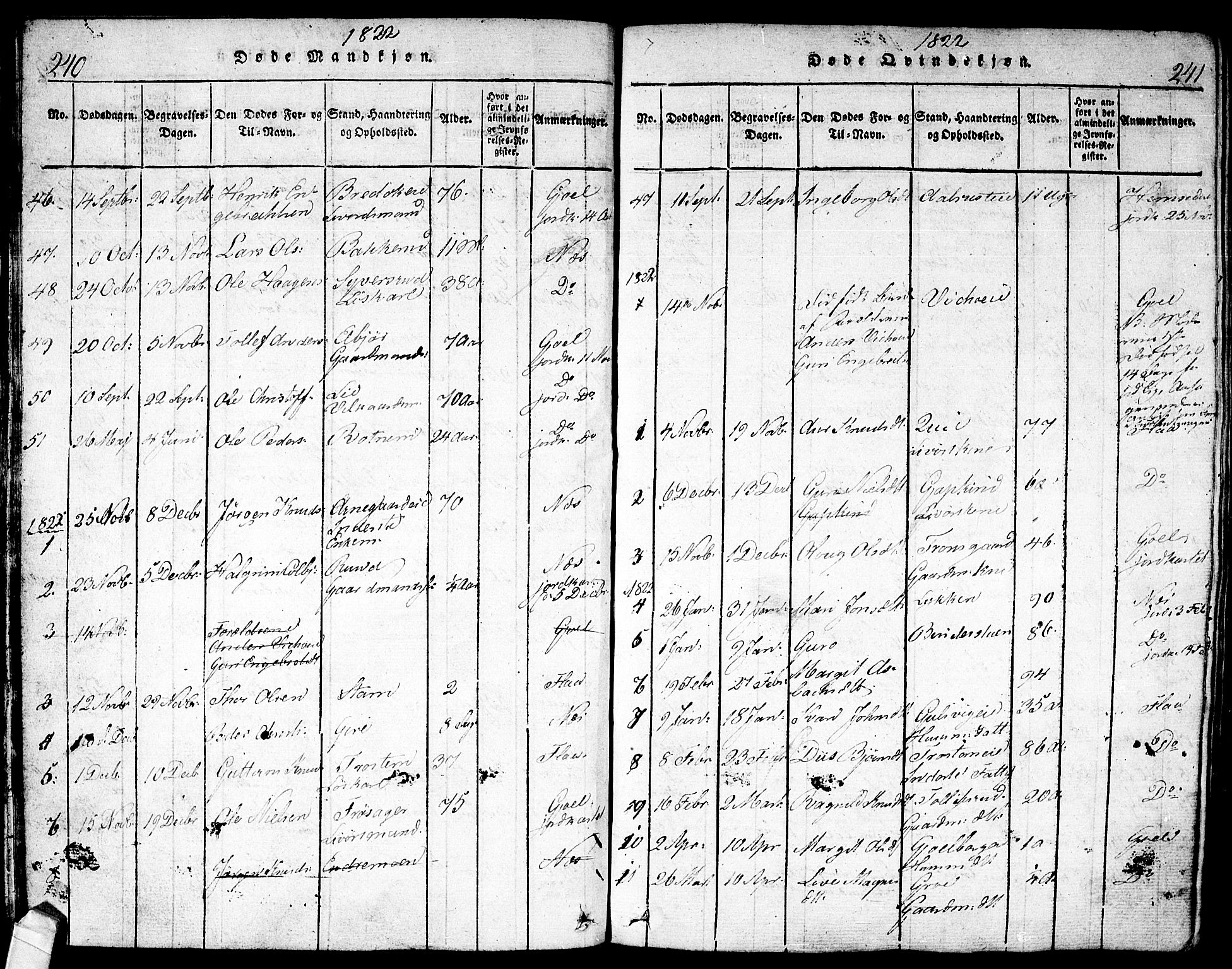 Nes kirkebøker, AV/SAKO-A-236/F/Fa/L0007: Parish register (official) no. 7, 1815-1823, p. 240-241