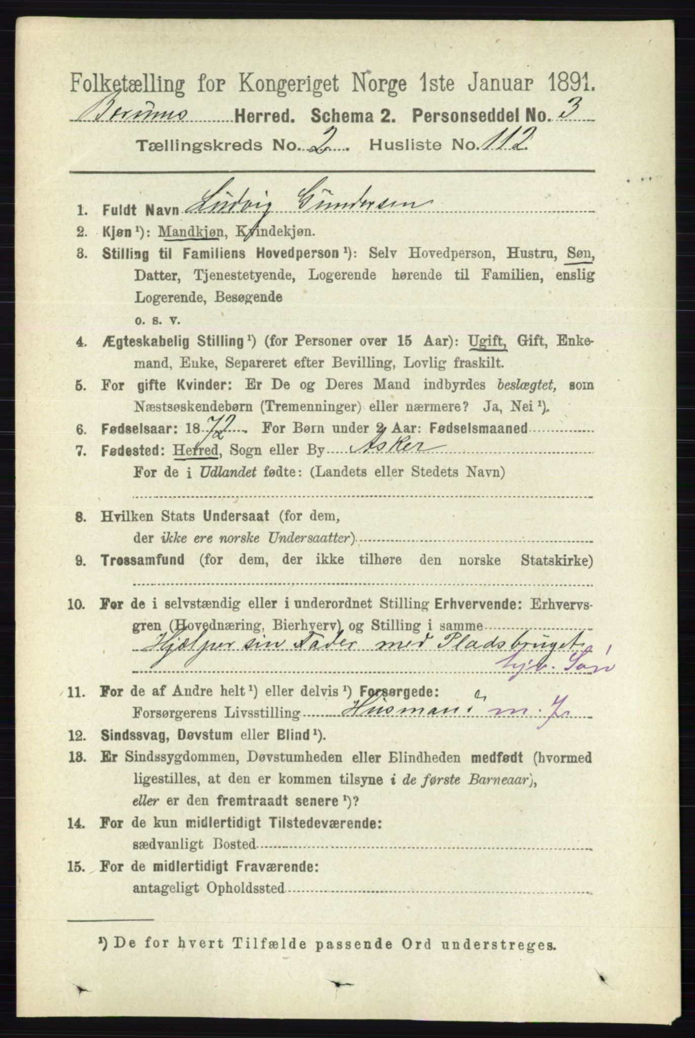 RA, 1891 census for 0219 Bærum, 1891, p. 1894