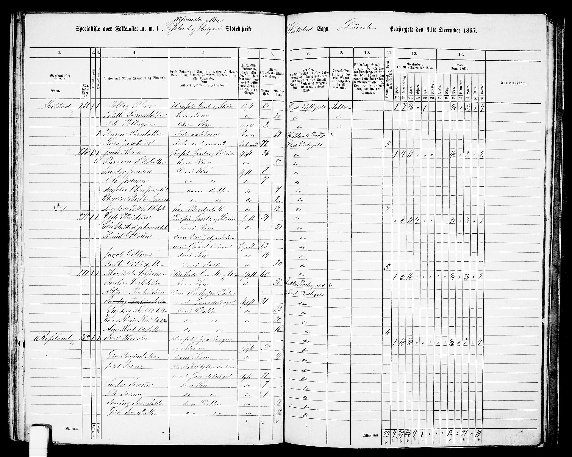 RA, 1865 census for Lund, 1865, p. 85