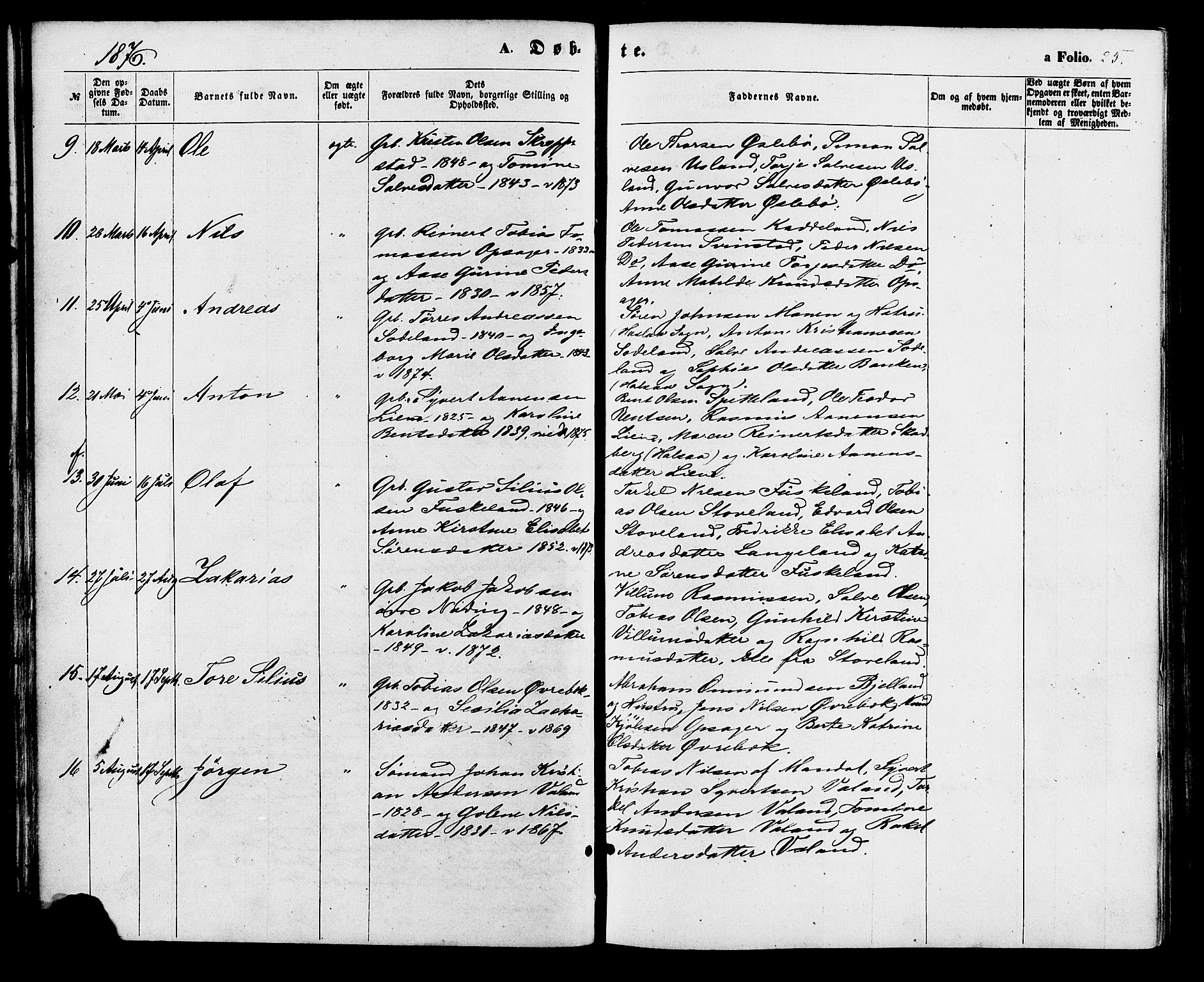 Holum sokneprestkontor, AV/SAK-1111-0022/F/Fa/Faa/L0006: Parish register (official) no. A 6, 1865-1883, p. 25