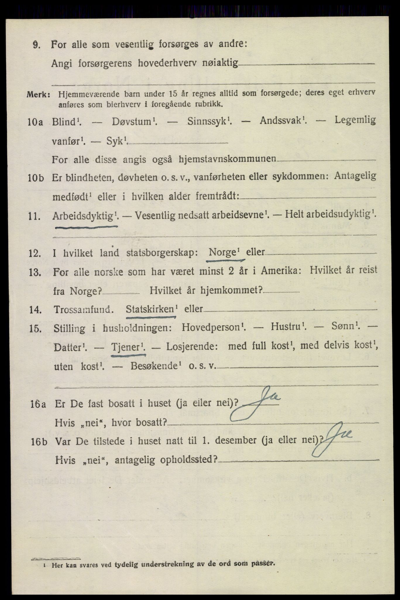SAH, 1920 census for Engerdal, 1920, p. 1528