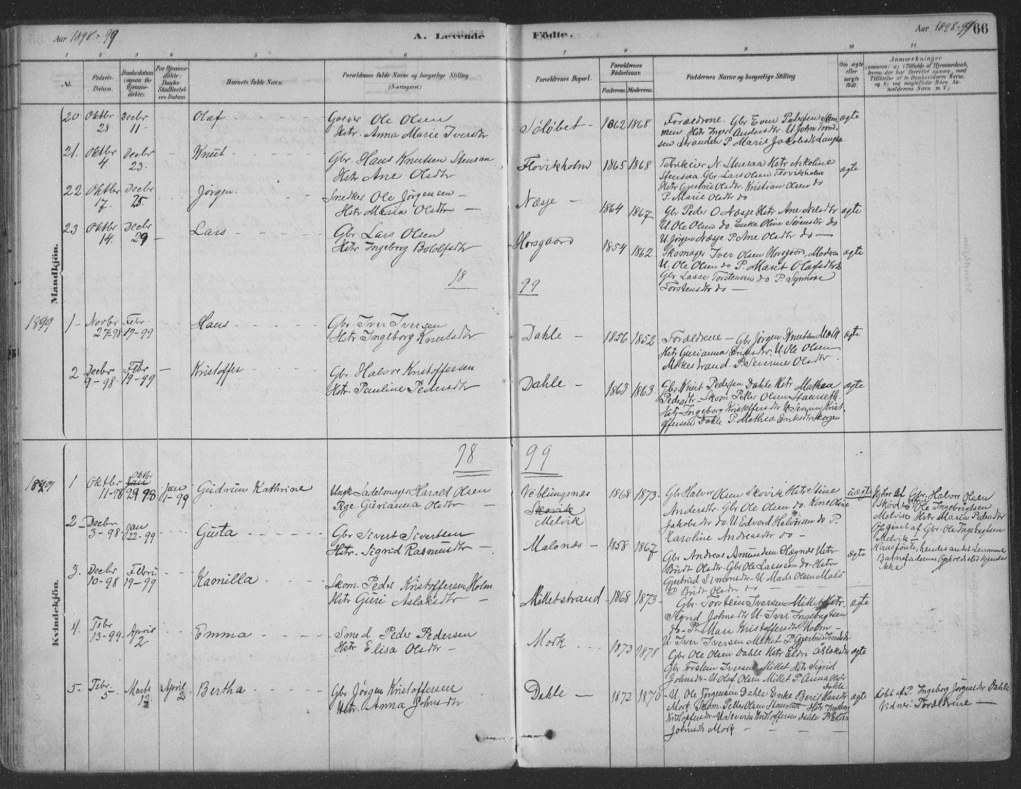 Ministerialprotokoller, klokkerbøker og fødselsregistre - Møre og Romsdal, SAT/A-1454/547/L0604: Parish register (official) no. 547A06, 1878-1906, p. 66