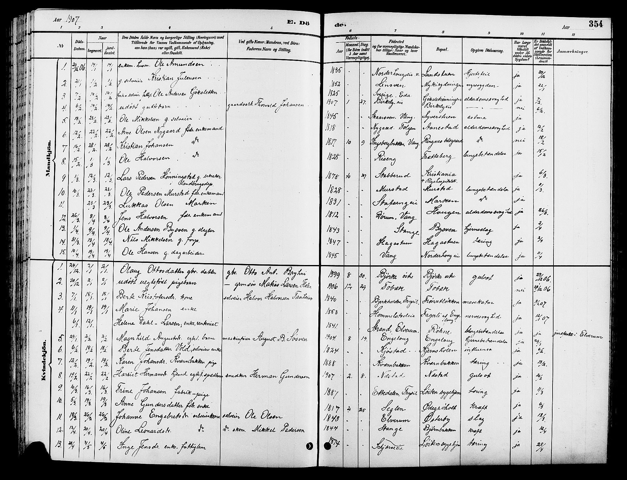 Løten prestekontor, SAH/PREST-022/L/La/L0006: Parish register (copy) no. 6, 1892-1909, p. 354