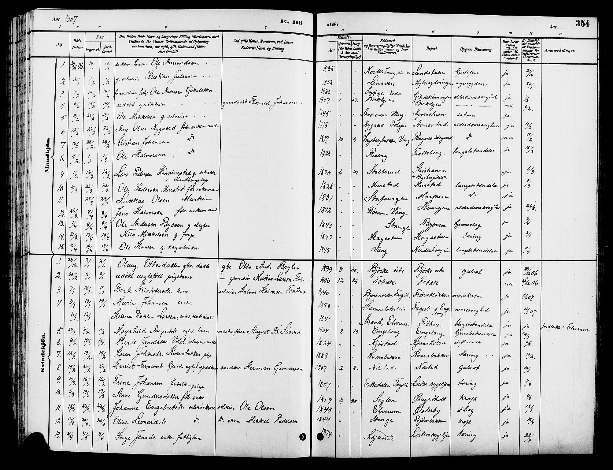 Løten prestekontor, AV/SAH-PREST-022/L/La/L0006: Parish register (copy) no. 6, 1892-1909, p. 354
