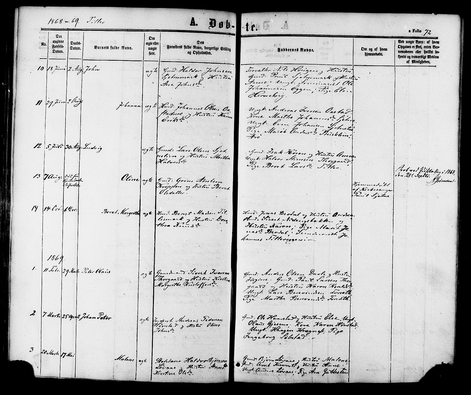 Ministerialprotokoller, klokkerbøker og fødselsregistre - Sør-Trøndelag, SAT/A-1456/618/L0443: Parish register (official) no. 618A06 /2, 1863-1879, p. 72