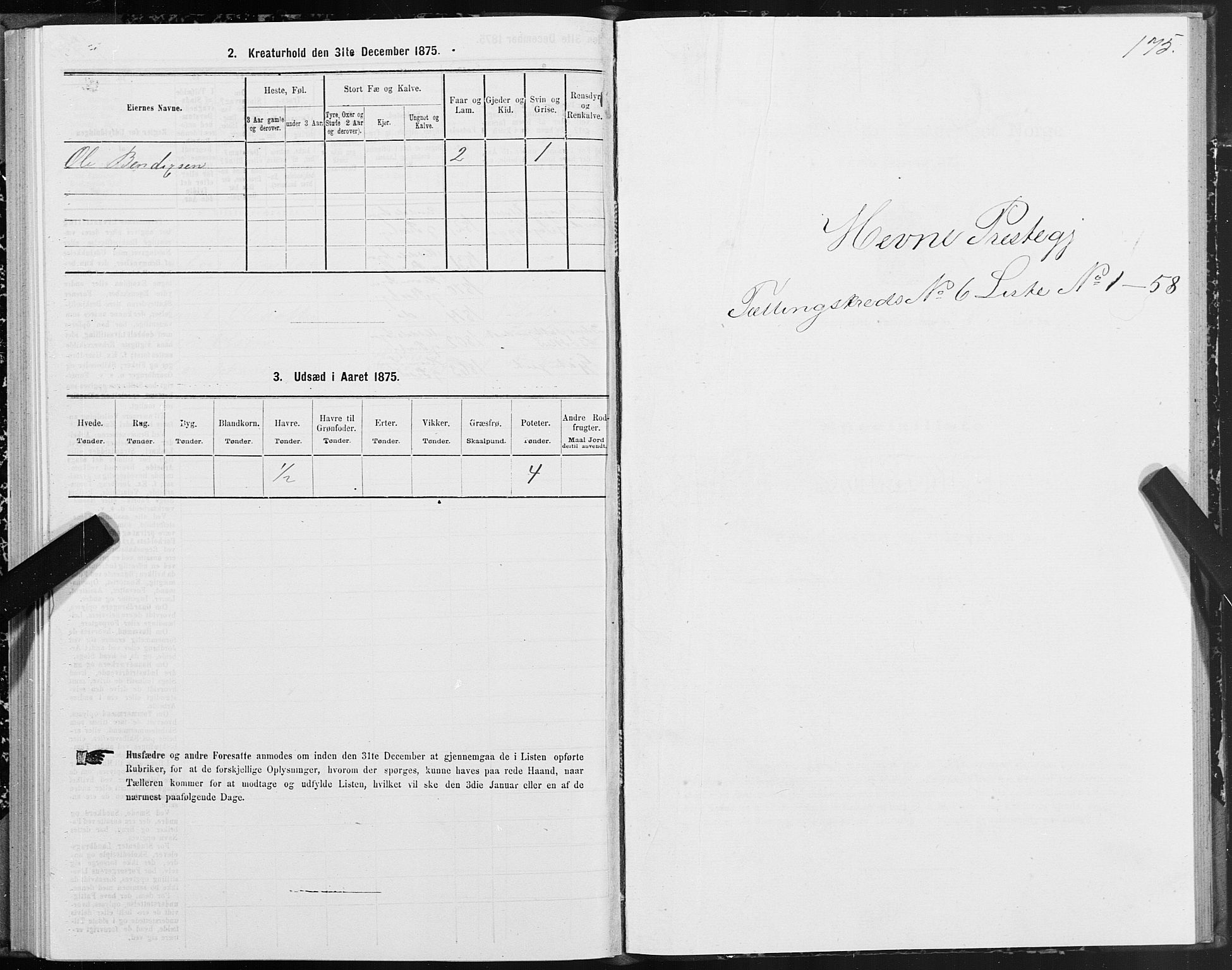 SAT, 1875 census for 1612P Hemne, 1875, p. 3175