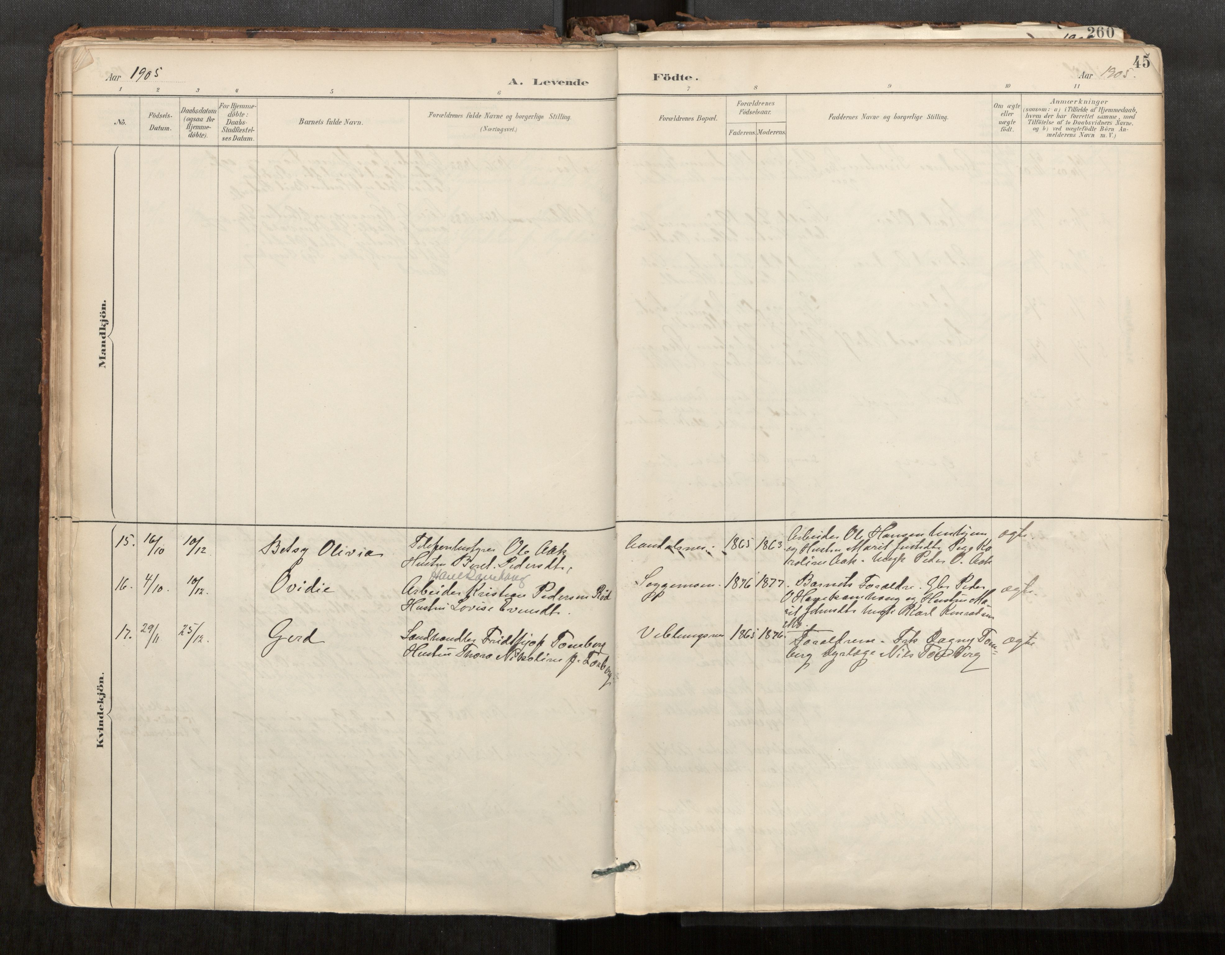 Ministerialprotokoller, klokkerbøker og fødselsregistre - Møre og Romsdal, AV/SAT-A-1454/544/L0585: Parish register (official) no. 544A06, 1887-1924, p. 45