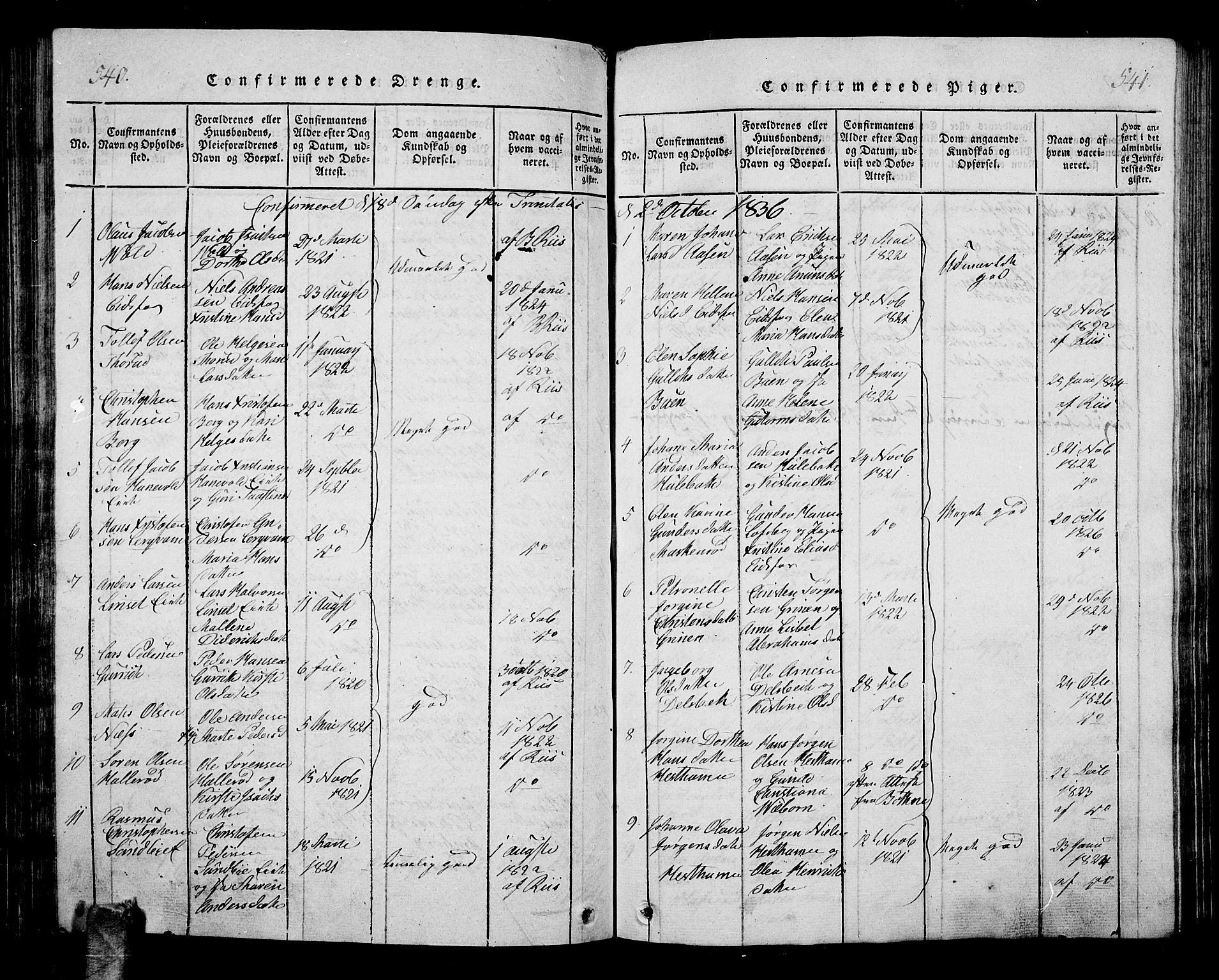 Hof kirkebøker, AV/SAKO-A-64/G/Ga/L0001: Parish register (copy) no. I 1, 1814-1844, p. 540-541