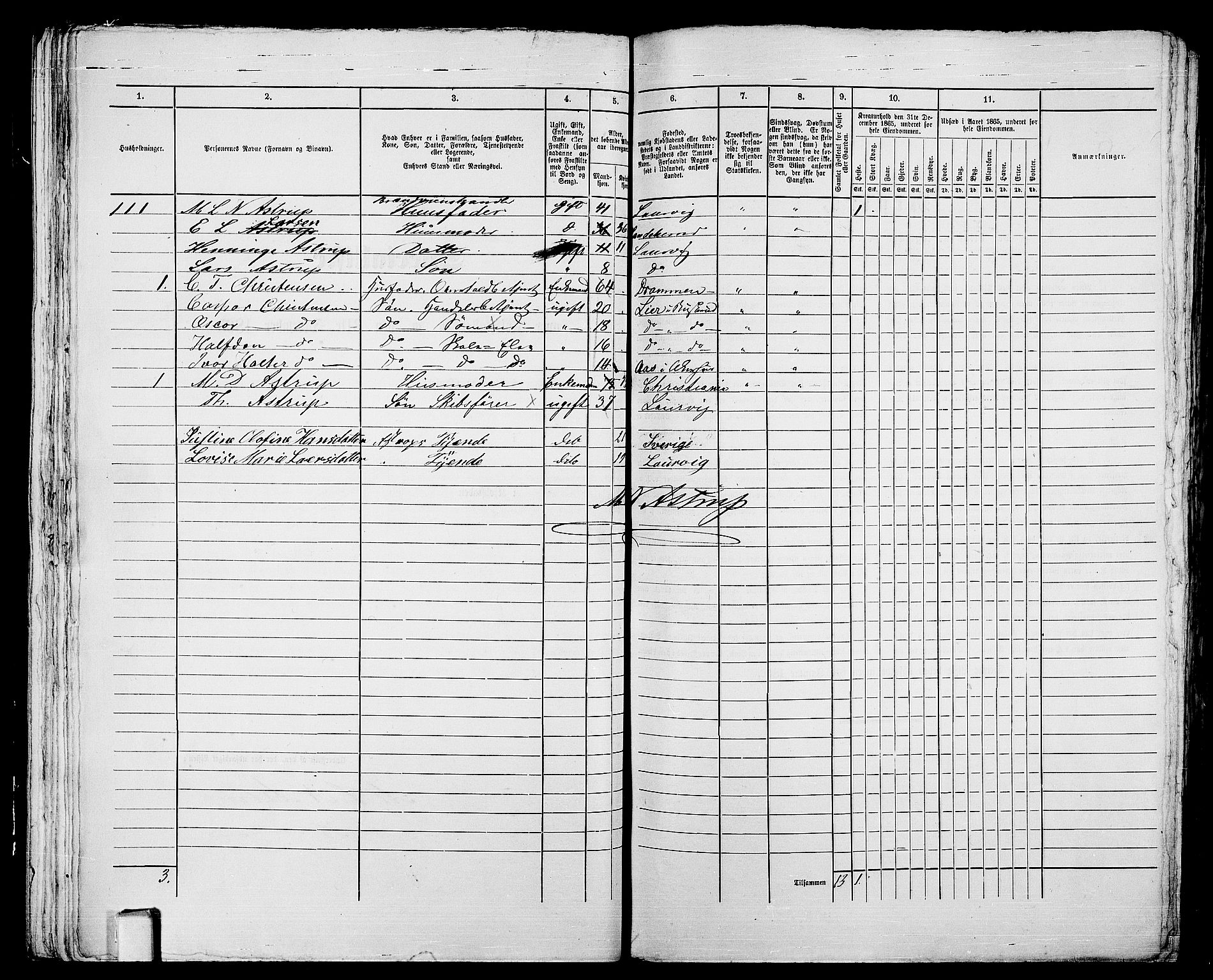 RA, 1865 census for Larvik, 1865, p. 51