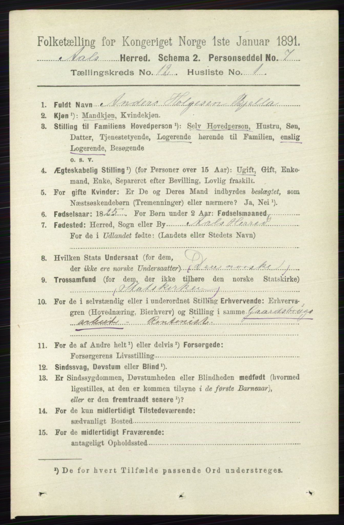 RA, 1891 census for 0619 Ål, 1891, p. 3013