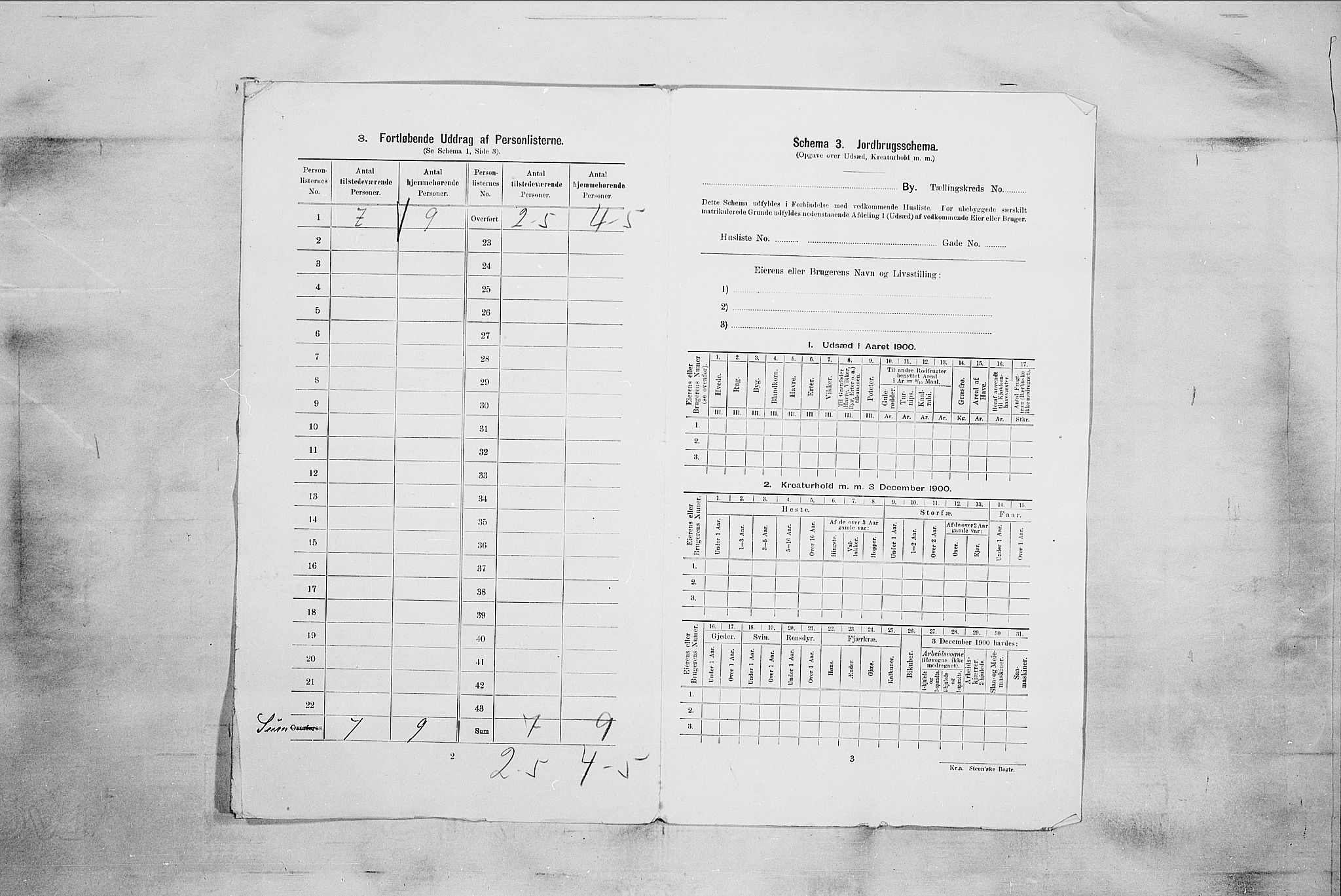 RA, 1900 census for Larvik, 1900, p. 5632