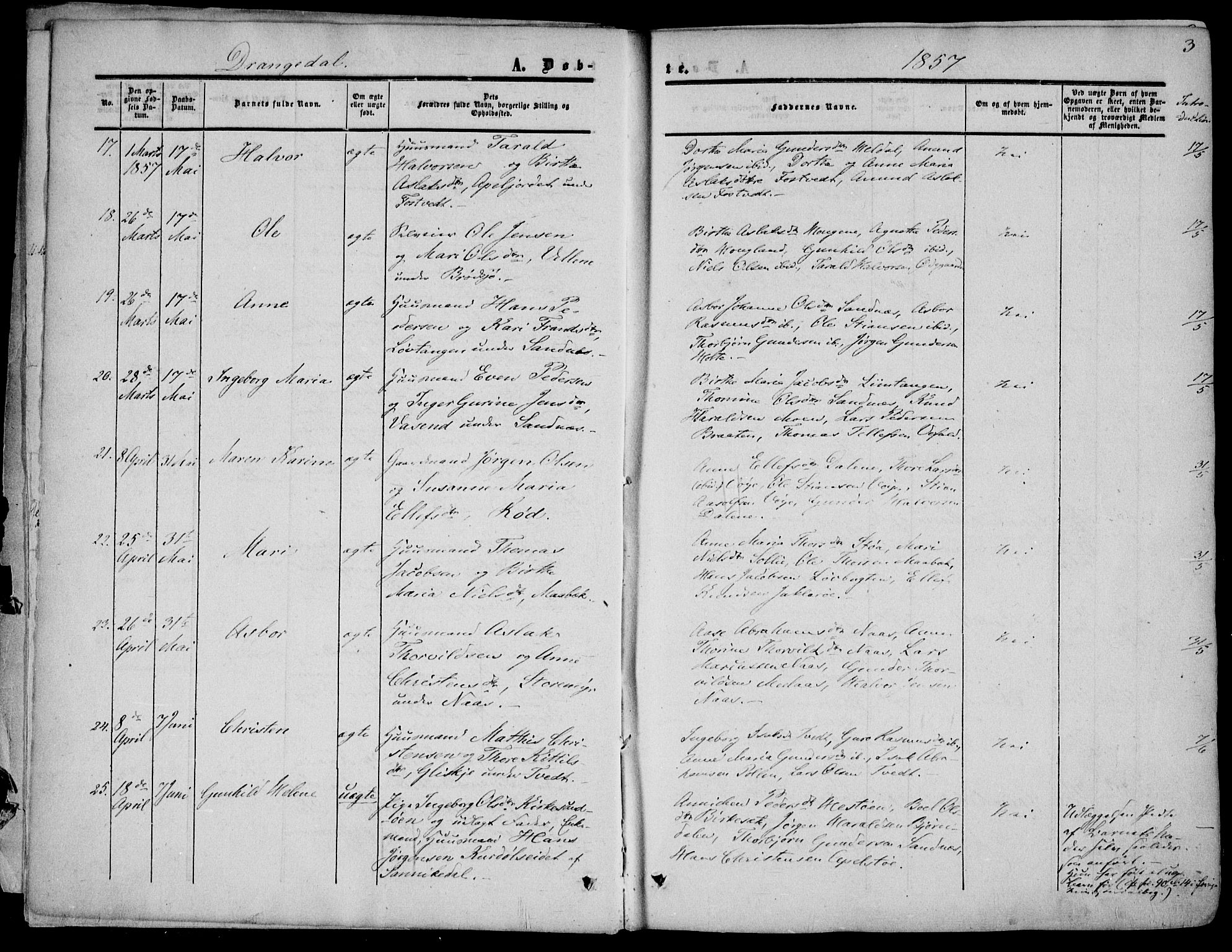Drangedal kirkebøker, SAKO/A-258/F/Fa/L0008: Parish register (official) no. 8, 1857-1871, p. 3