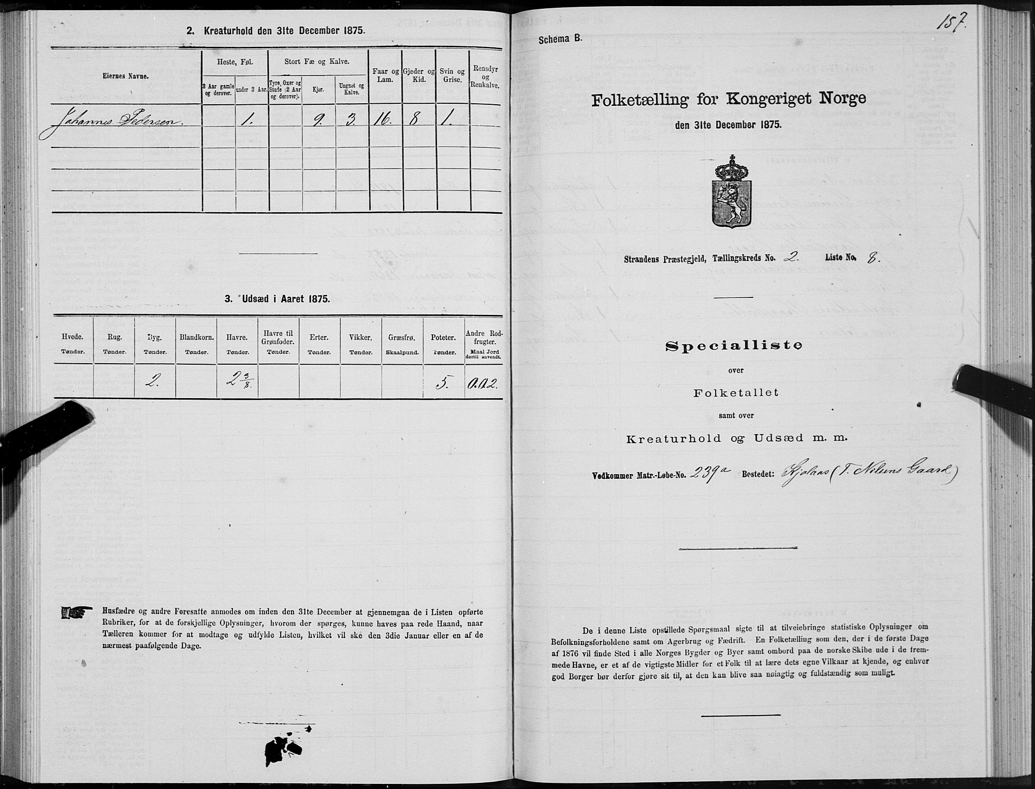 SAT, 1875 census for 1525P Stranda, 1875, p. 1157