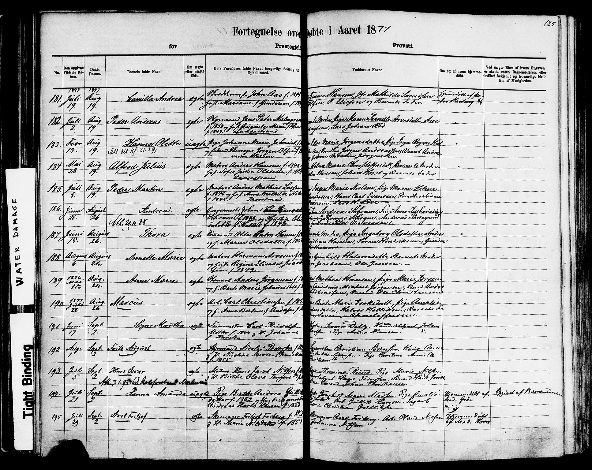 Larvik kirkebøker, AV/SAKO-A-352/F/Fa/L0006: Parish register (official) no. I 6, 1871-1883, p. 125