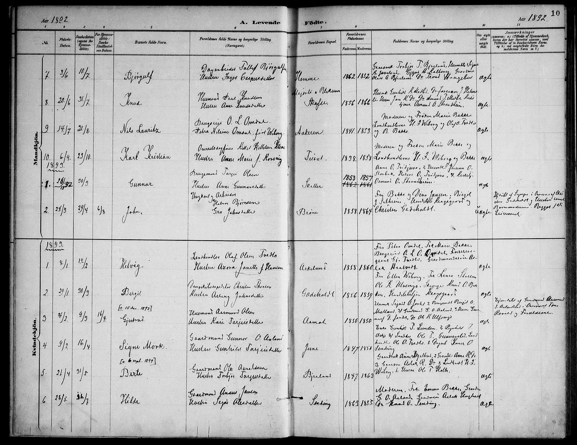 Lårdal kirkebøker, SAKO/A-284/F/Fa/L0007: Parish register (official) no. I 7, 1887-1906, p. 10