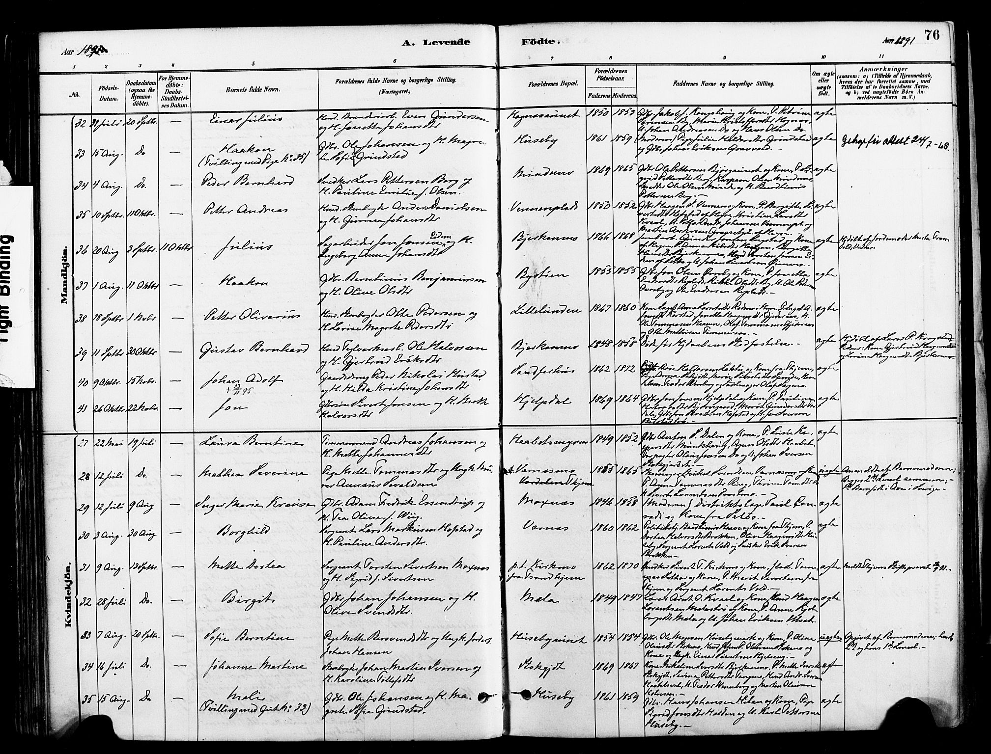 Ministerialprotokoller, klokkerbøker og fødselsregistre - Nord-Trøndelag, AV/SAT-A-1458/709/L0077: Parish register (official) no. 709A17, 1880-1895, p. 76