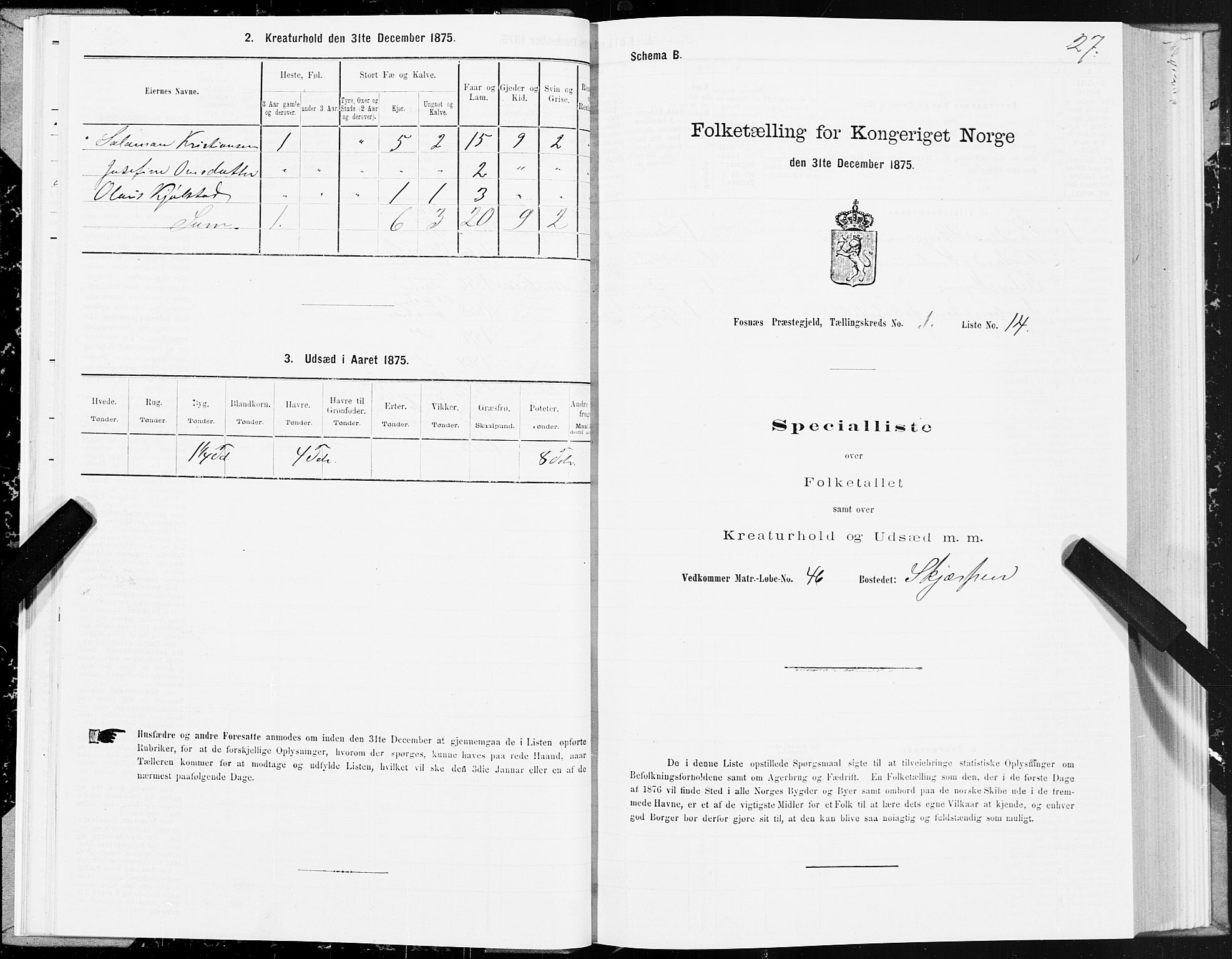 SAT, 1875 census for 1748P Fosnes, 1875, p. 3027