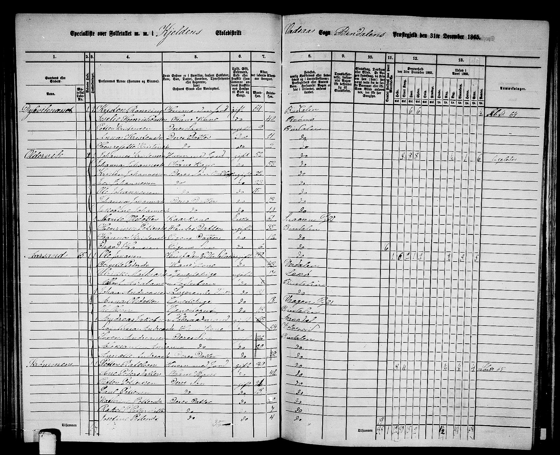 RA, 1865 census for Bindal, 1865, p. 71