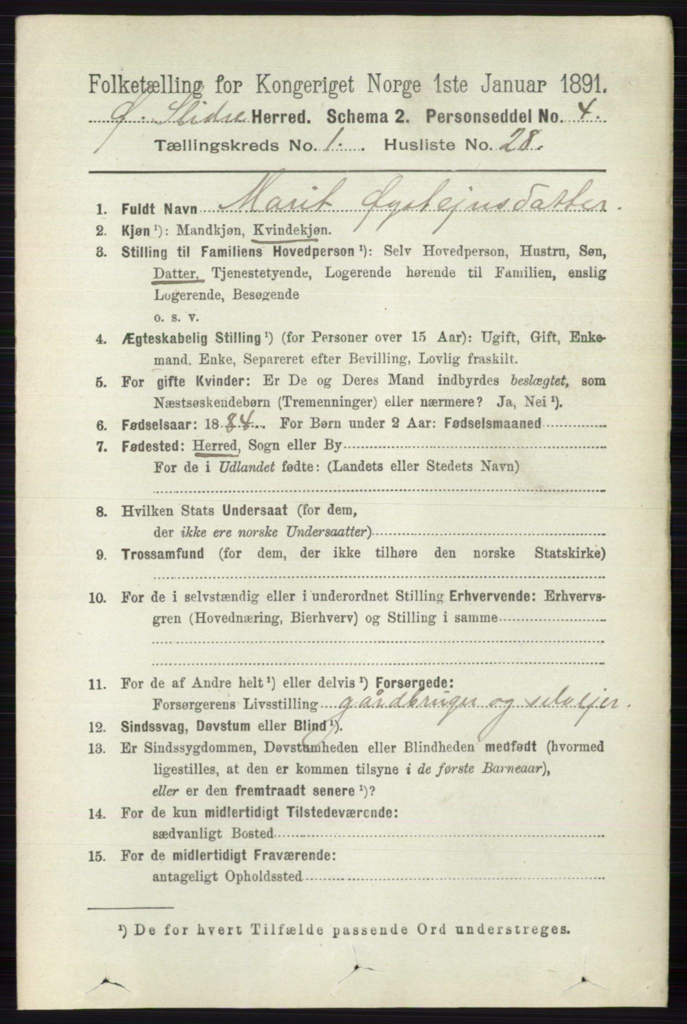 RA, 1891 census for 0544 Øystre Slidre, 1891, p. 206