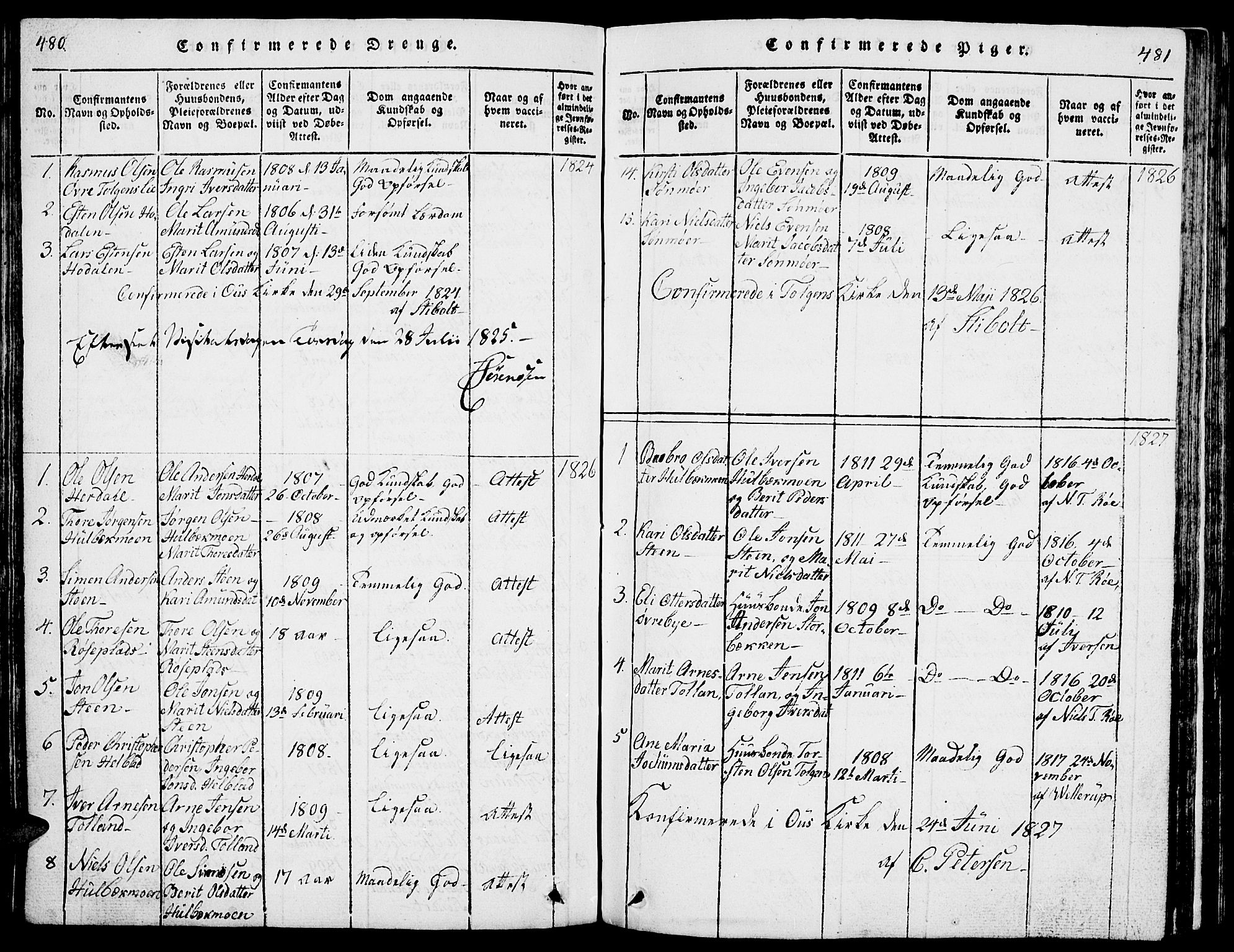 Tolga prestekontor, SAH/PREST-062/L/L0001: Parish register (copy) no. 1, 1814-1877, p. 480-481