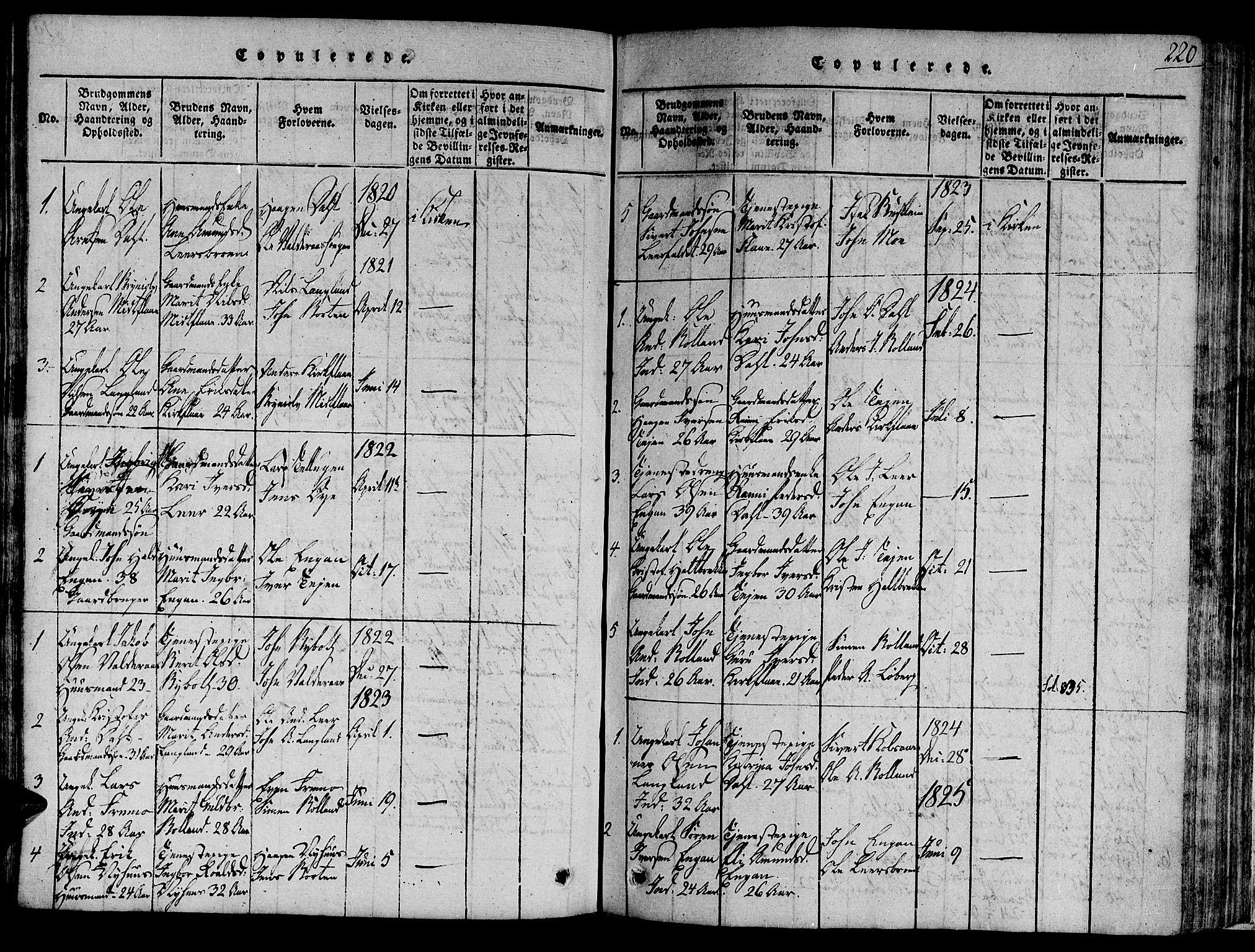 Ministerialprotokoller, klokkerbøker og fødselsregistre - Sør-Trøndelag, SAT/A-1456/691/L1066: Parish register (official) no. 691A03 /2, 1816-1826, p. 220