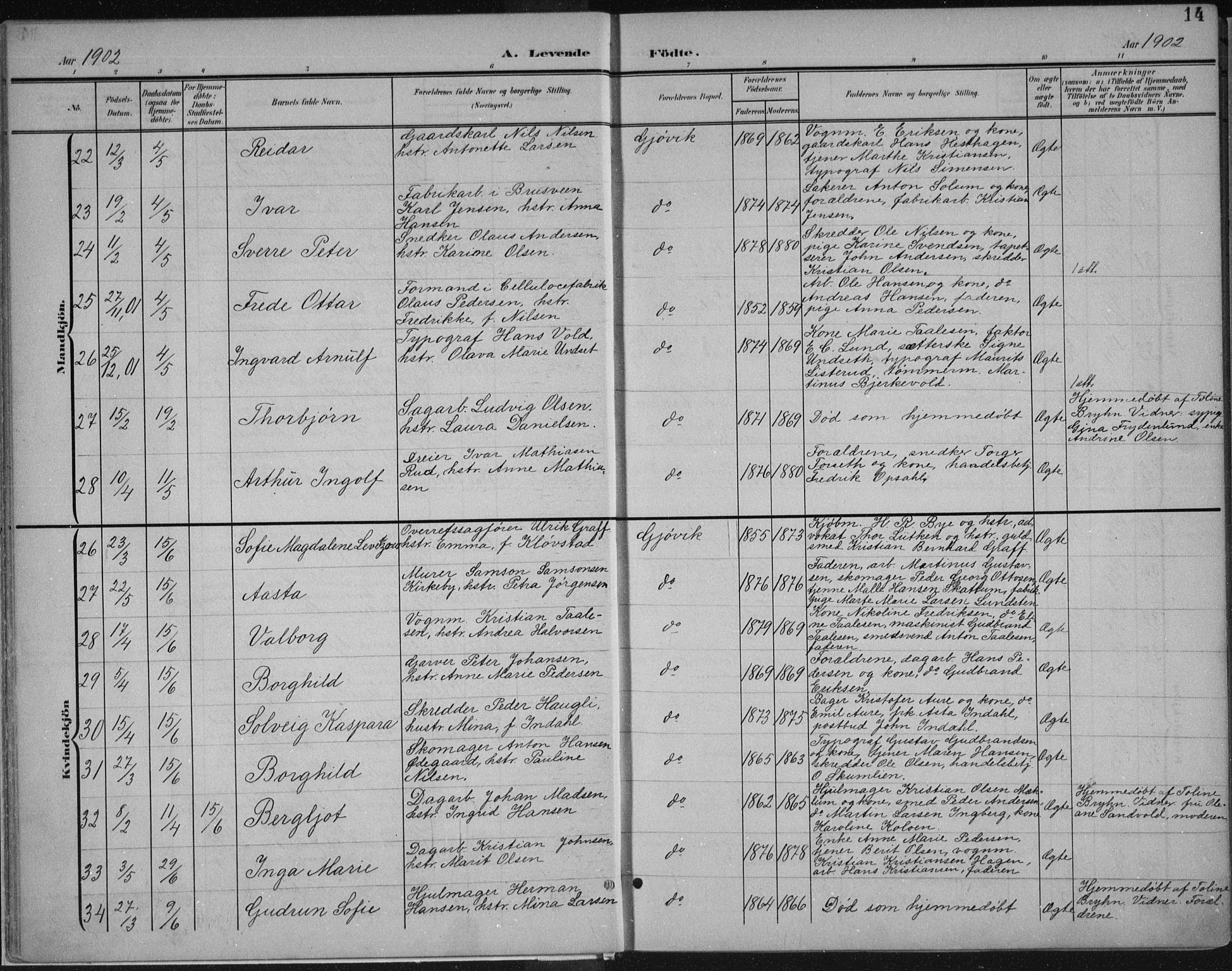 Vardal prestekontor, SAH/PREST-100/H/Ha/Haa/L0013: Parish register (official) no. 13, 1901-1911, p. 14